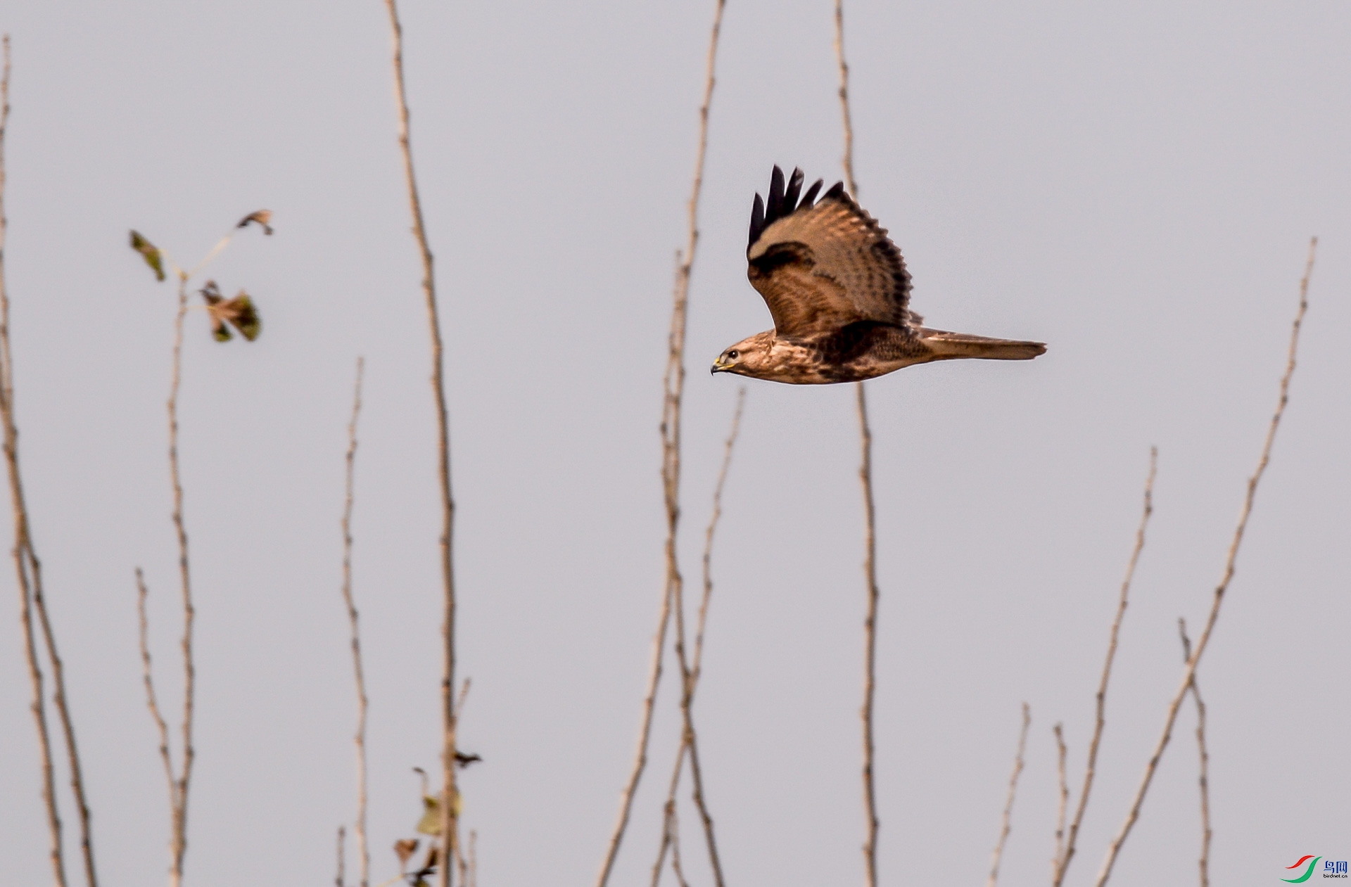 DSC_2502.jpg