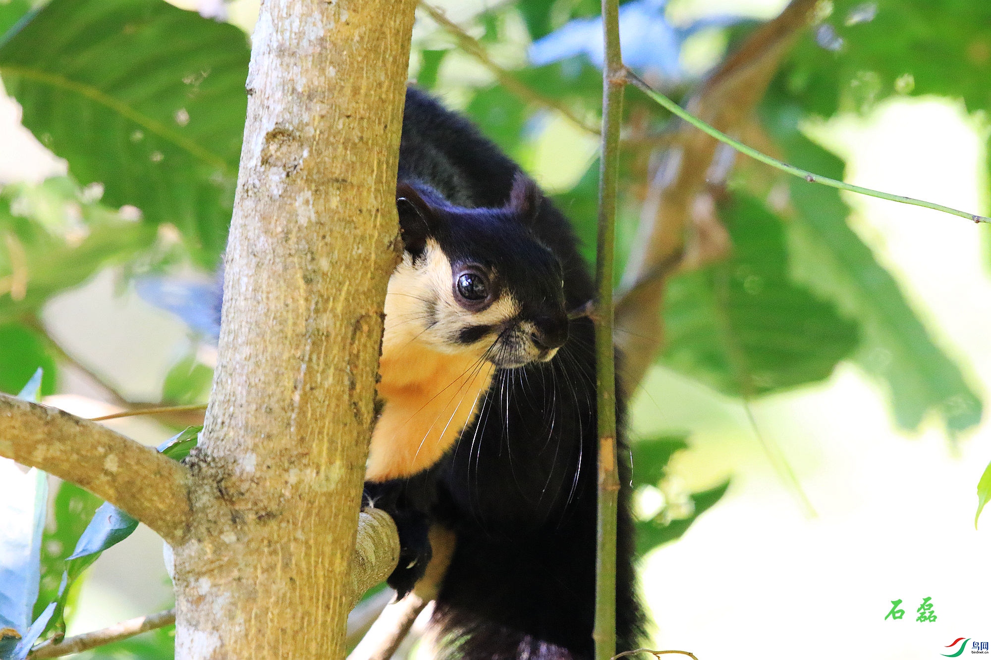 ������۹�