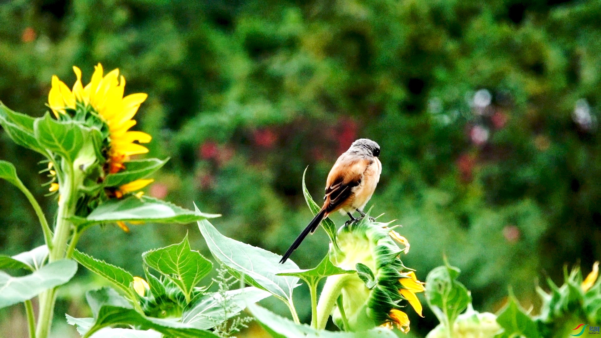 C0001.00_00_42_21.��ֹ002.jpg