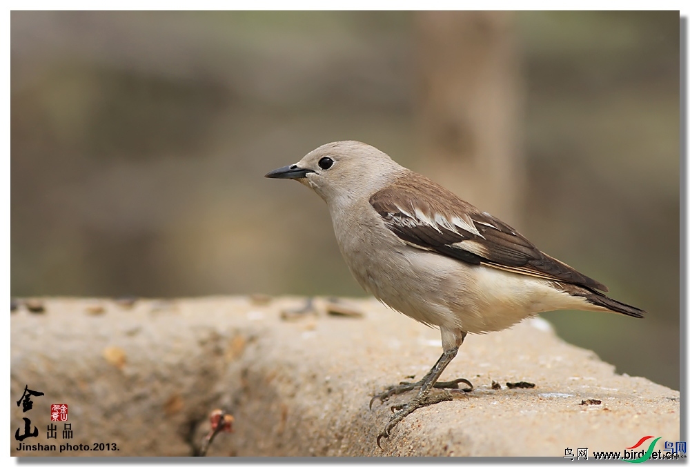 ��ɽ  ��ʦ������ɽ���ֵ�.jpg