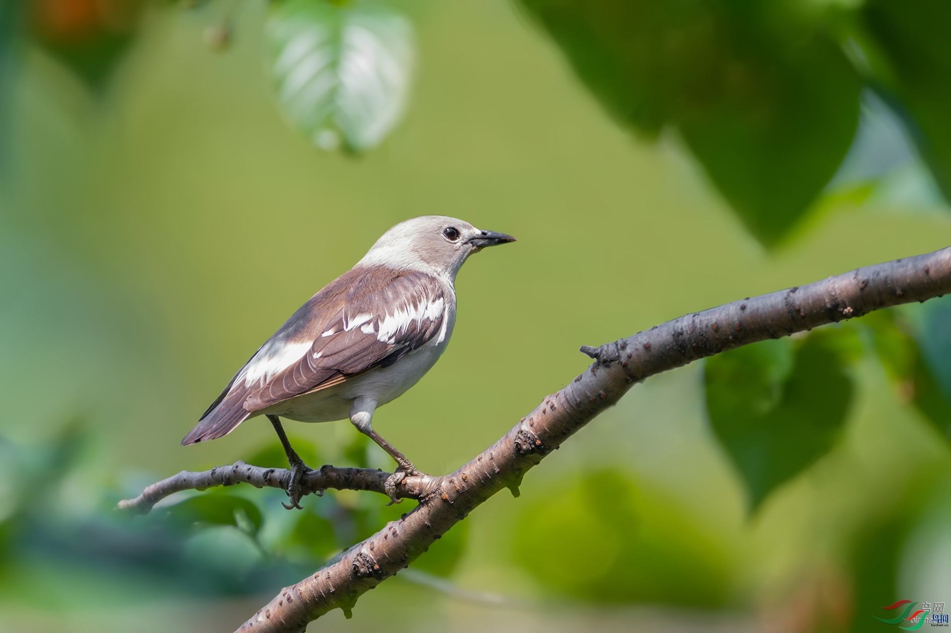 768jianmei  ��ʦ�����ڽ���ʡ������.jpg