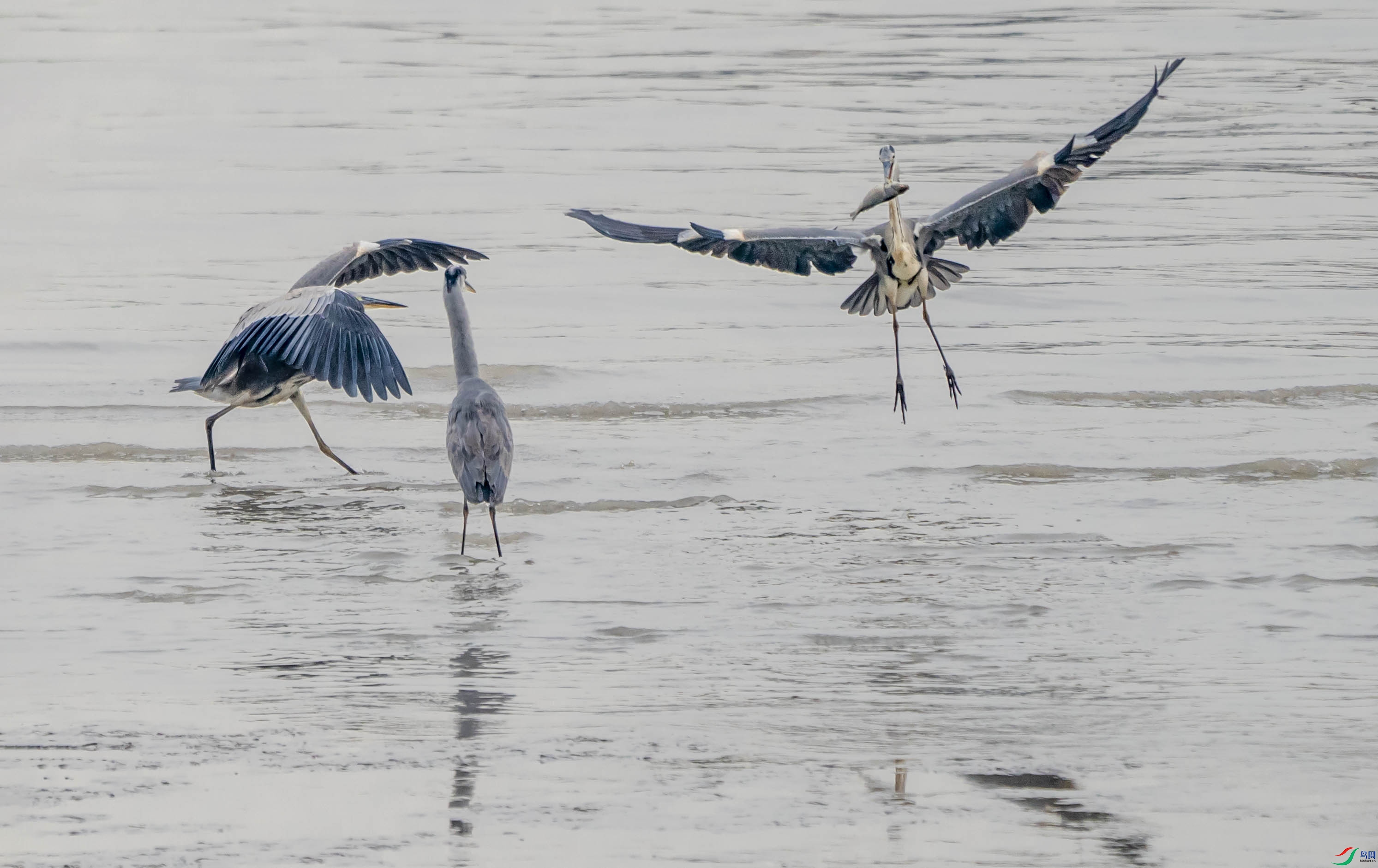 _DSC9586-.jpg