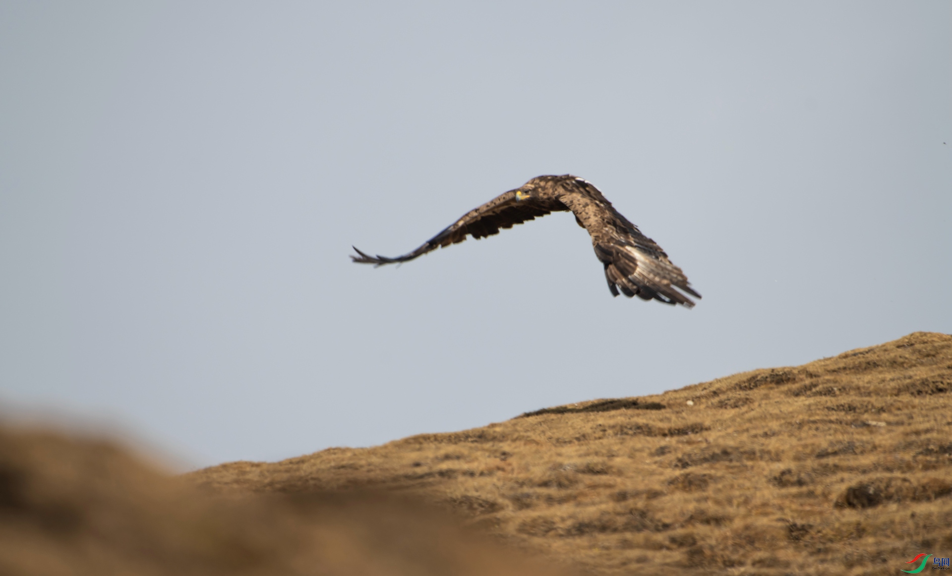 _DSC8031_����.jpg