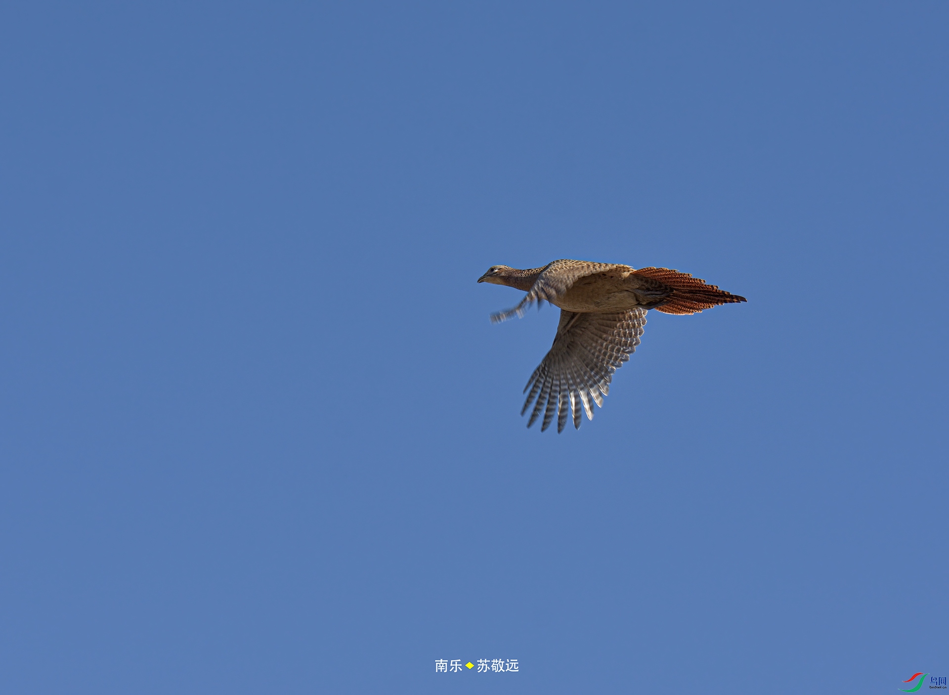 _DSC9901С.jpg