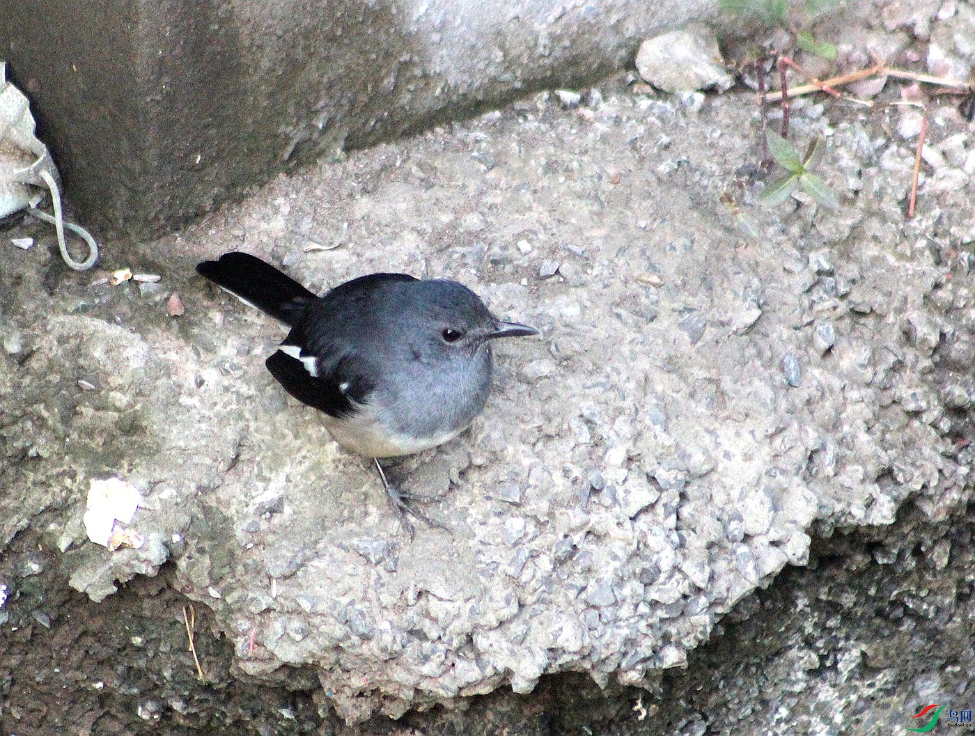 IMG_0036.jpg