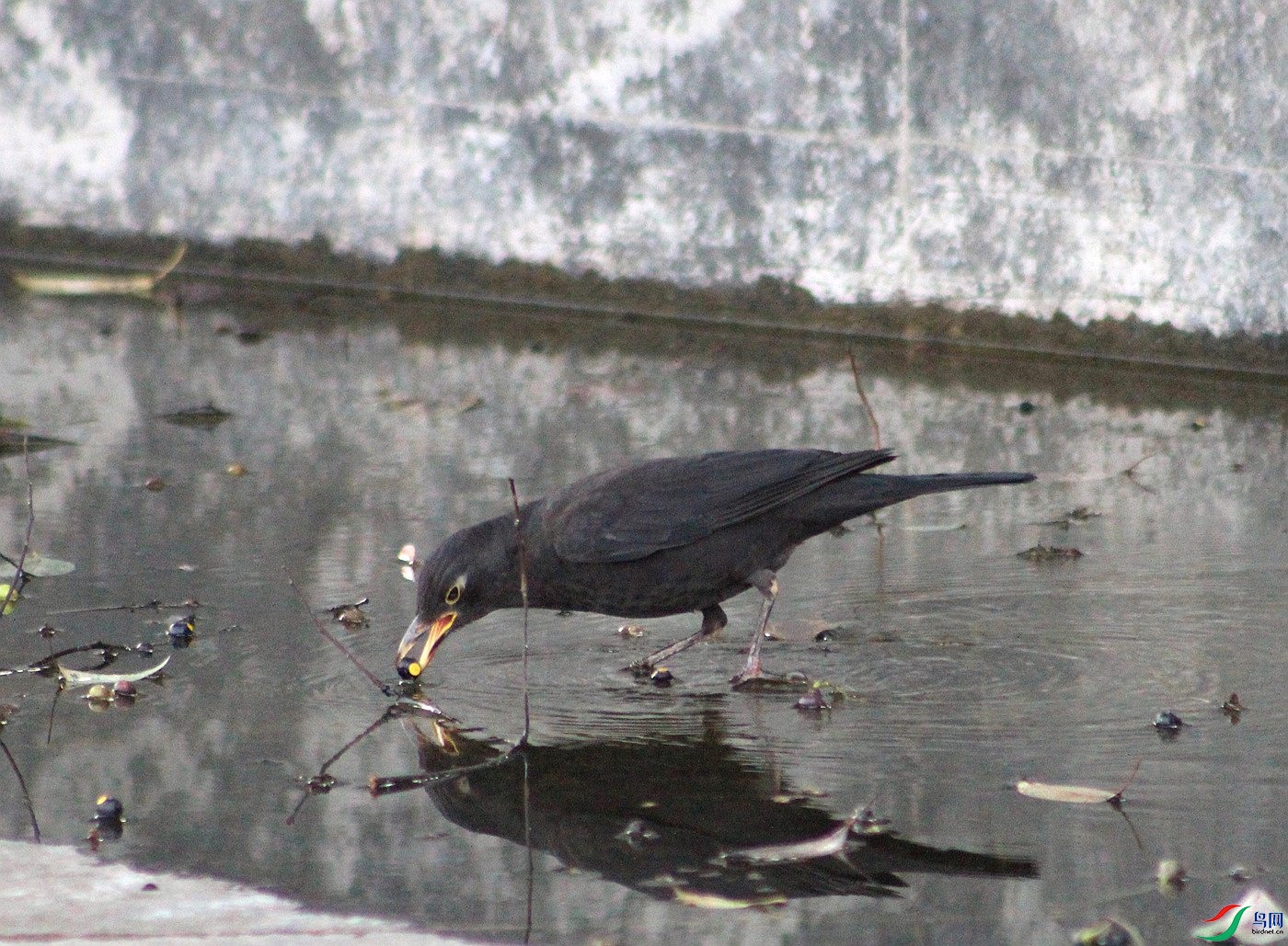 IMG_0031.jpg