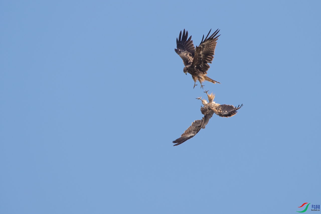 DSC_1289a.jpg