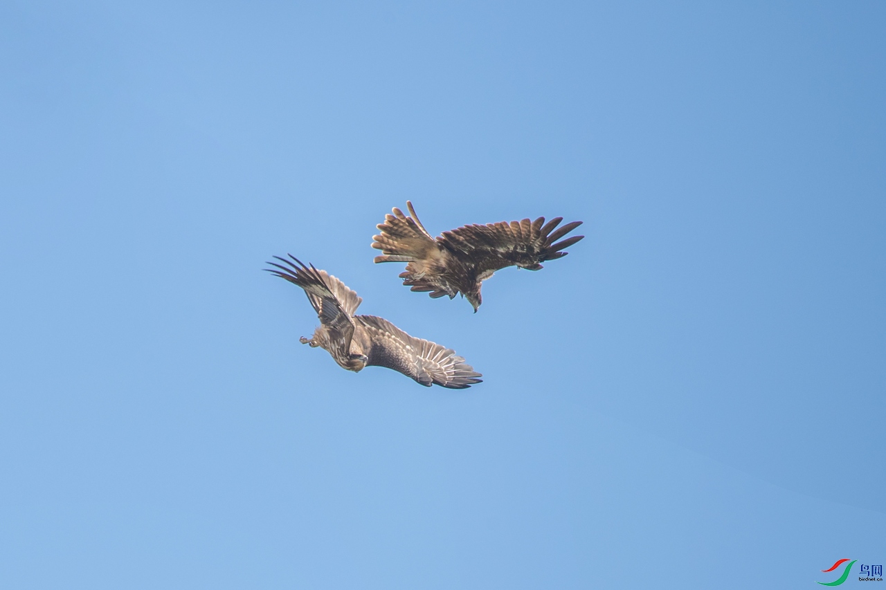 DSC_1280a.jpg