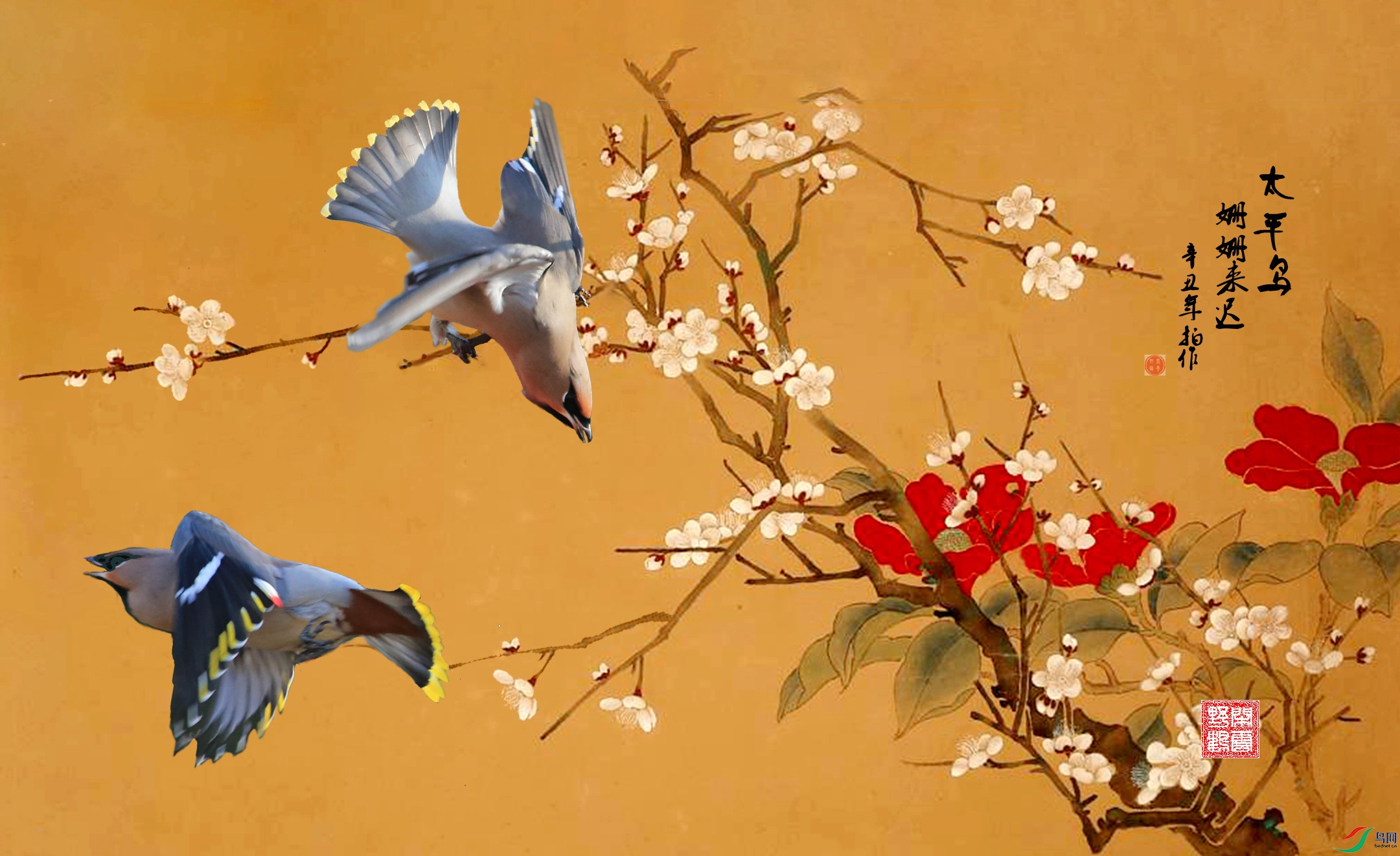 太平鸟.jpg