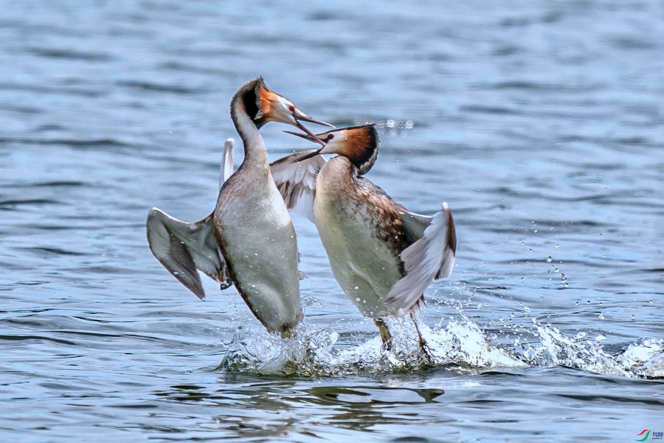 ��ͷ�G�f (1).jpg