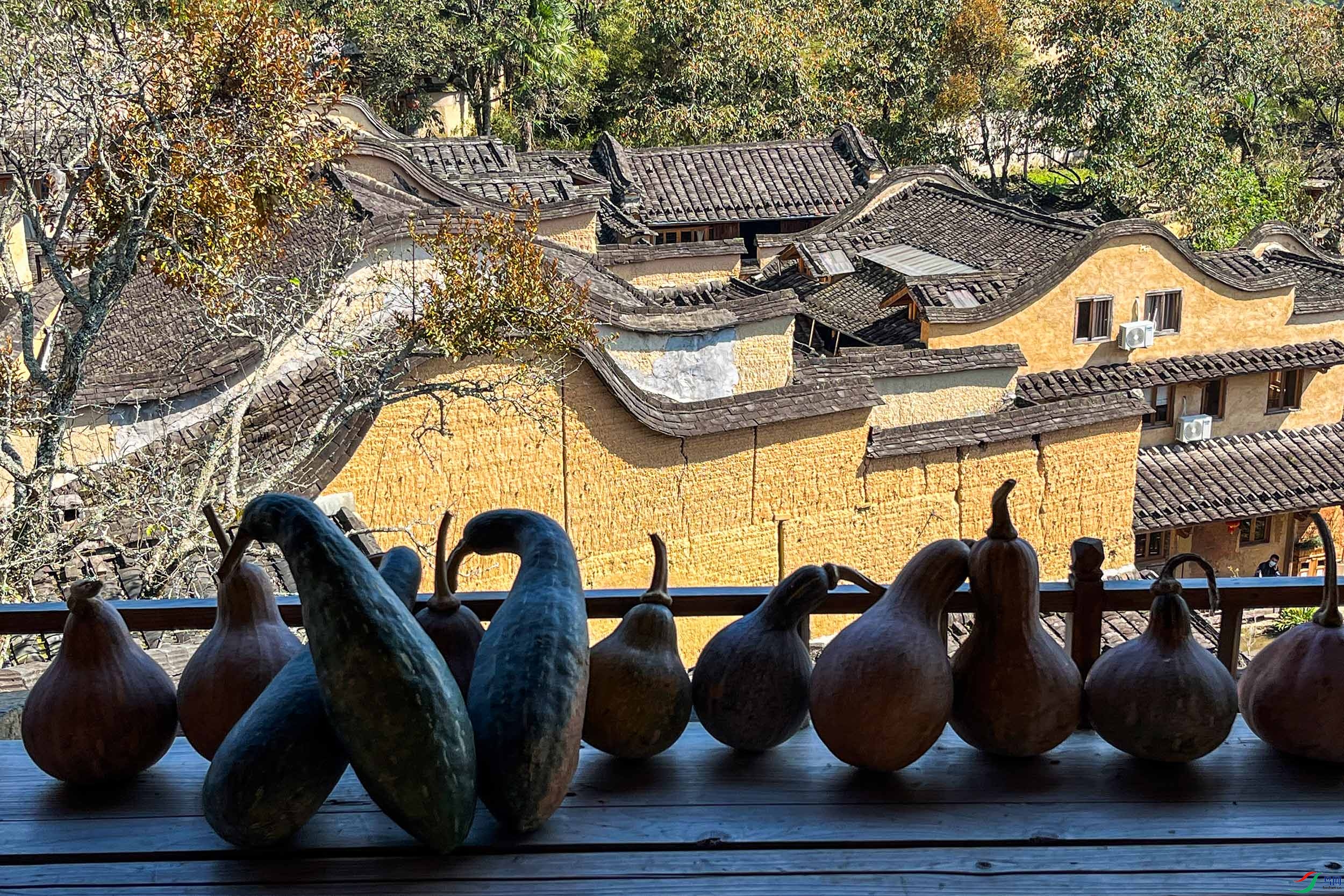 ΢��ͼƬ_20211111092253 ����.jpg