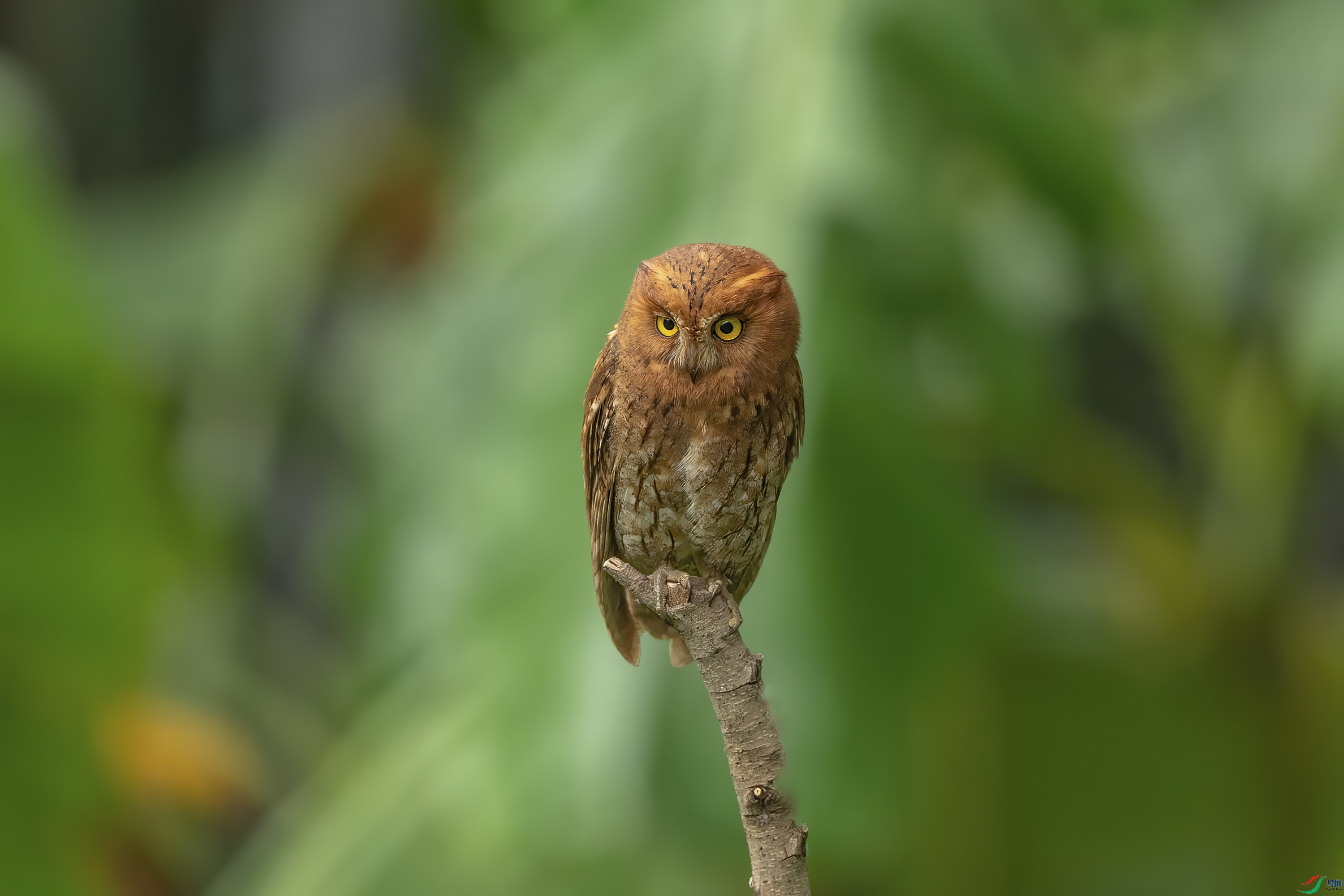DSC_6850.jpg