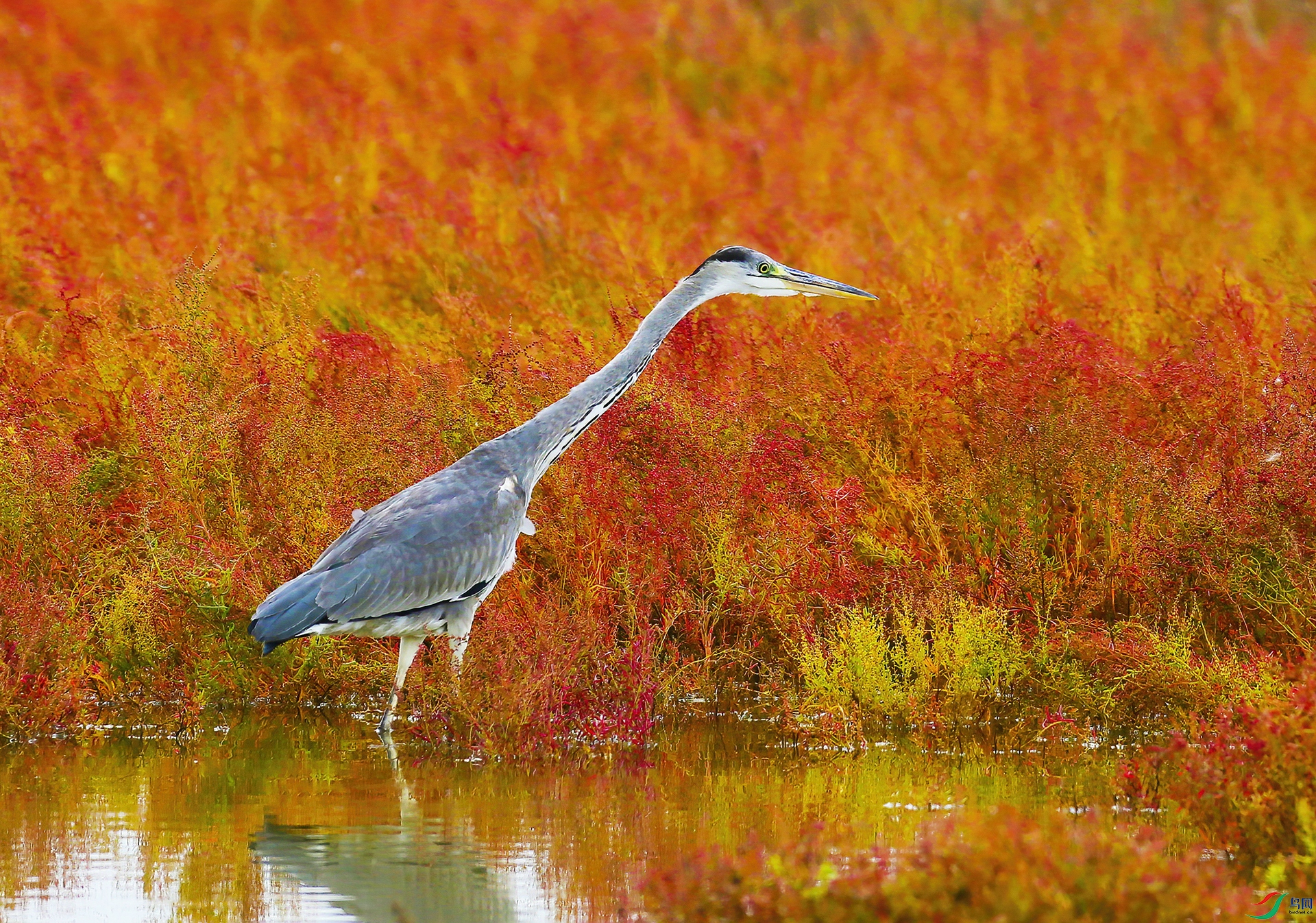 ���Ŀ�-���� ���� 2.jpg