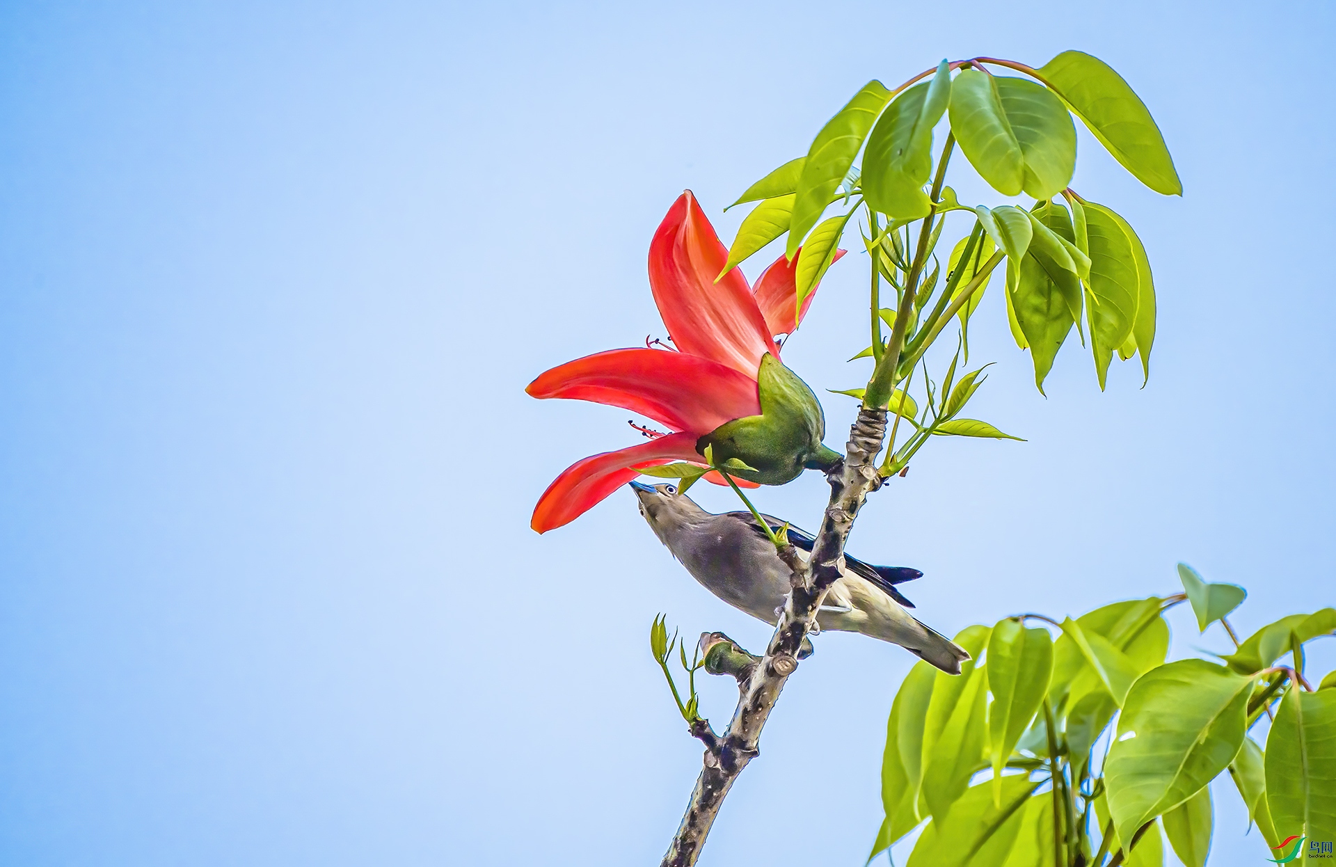 _DWK8000 ����-.jpg