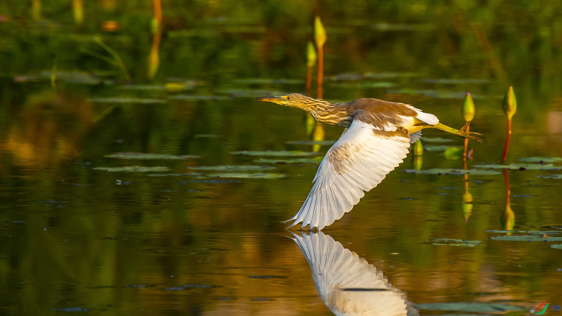 _DWK2193 ����.jpg