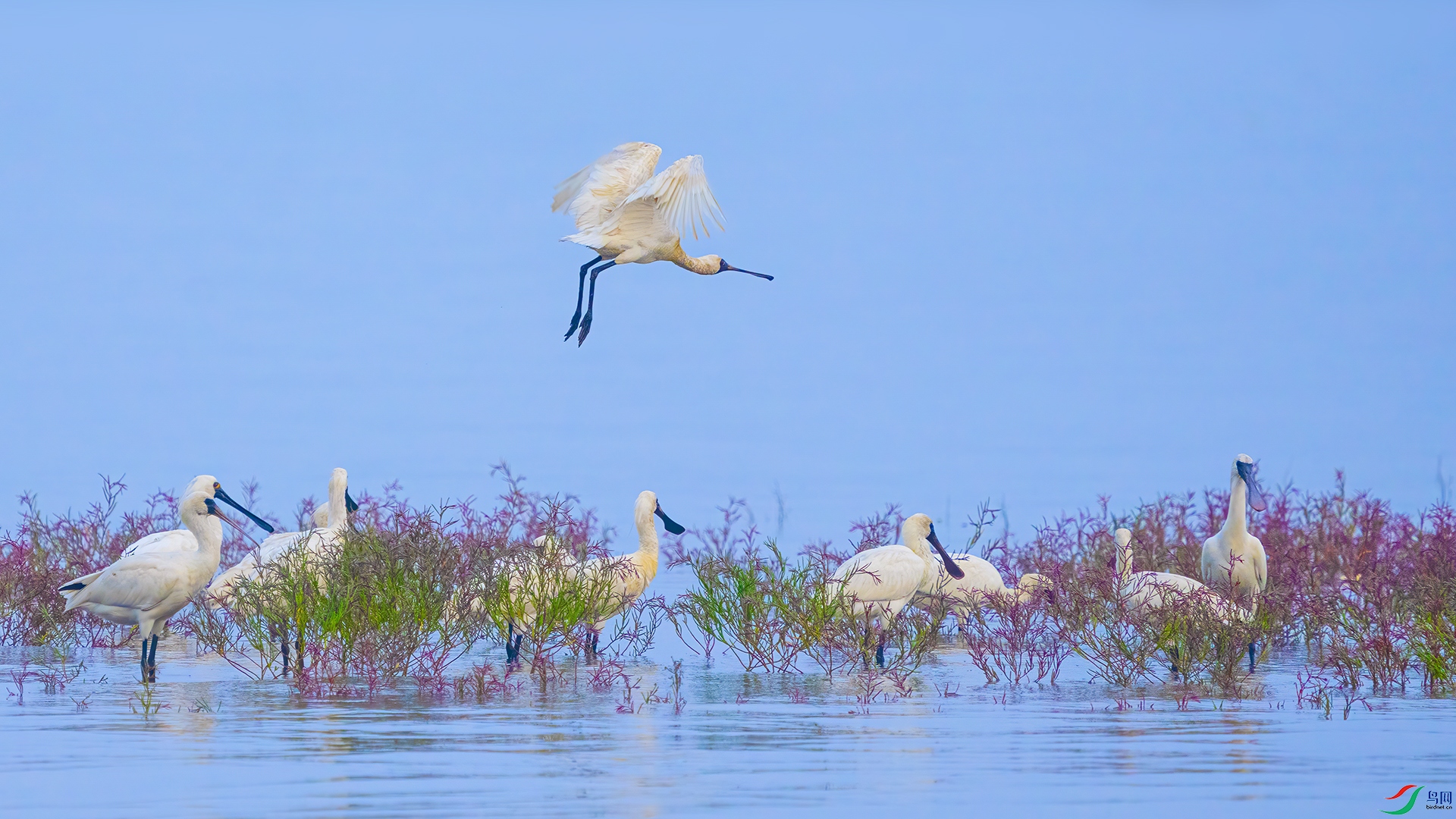 ���Ŀ�-�������� ����.jpg