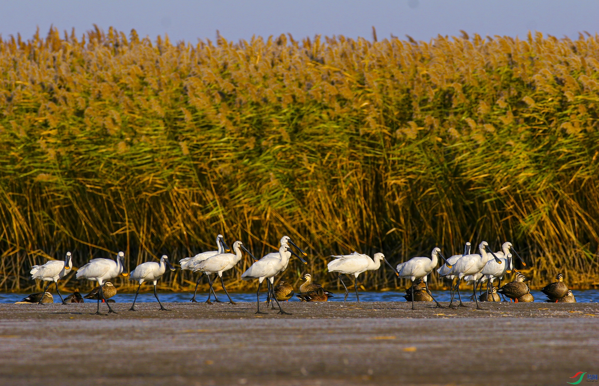 ���Ŀƣ�IMG_4437 ���� 2.jpg