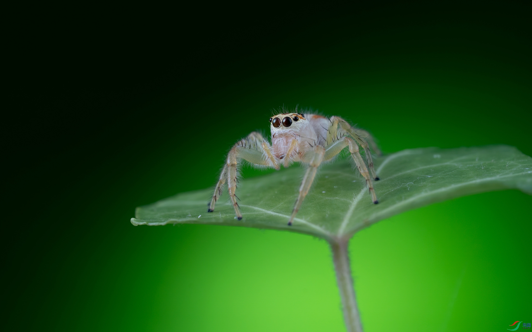 DSC08374-1.jpg