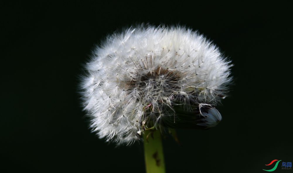 DSC_2641_����.jpg
