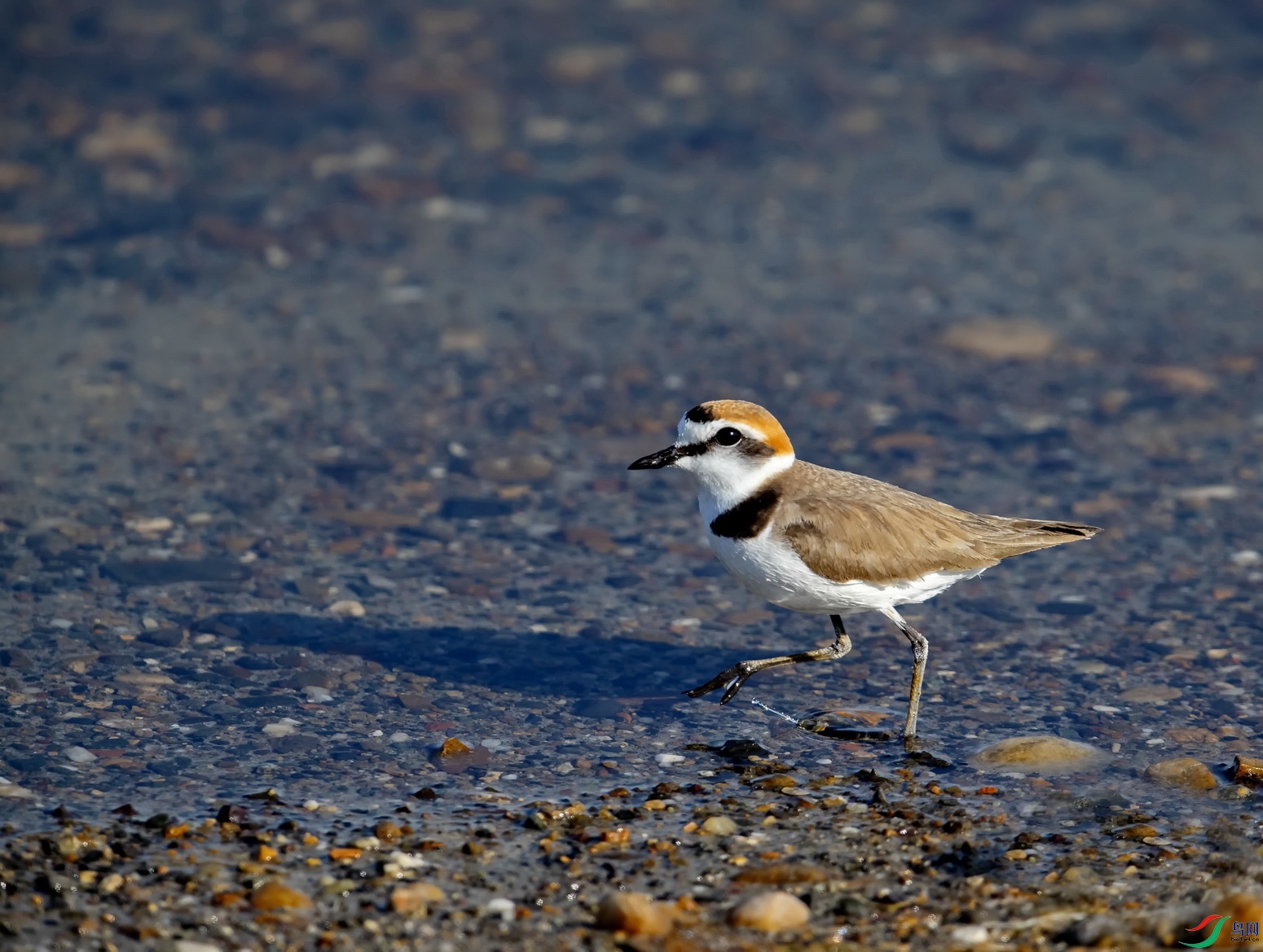 �����a (6)-02.jpg