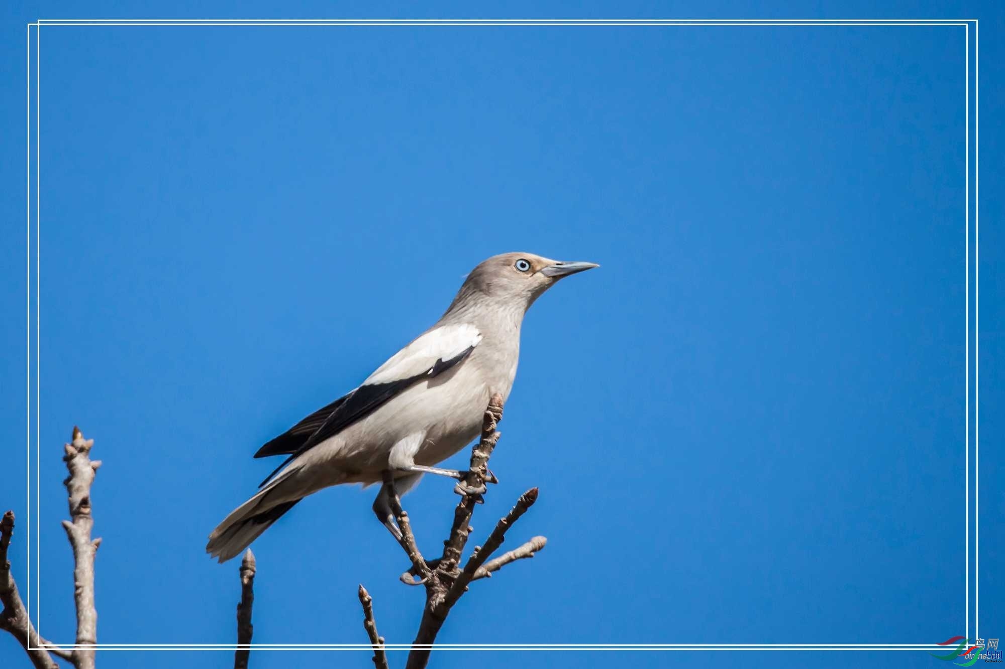 xianqin  ��ʦ�����ں���ʡ������.jpg