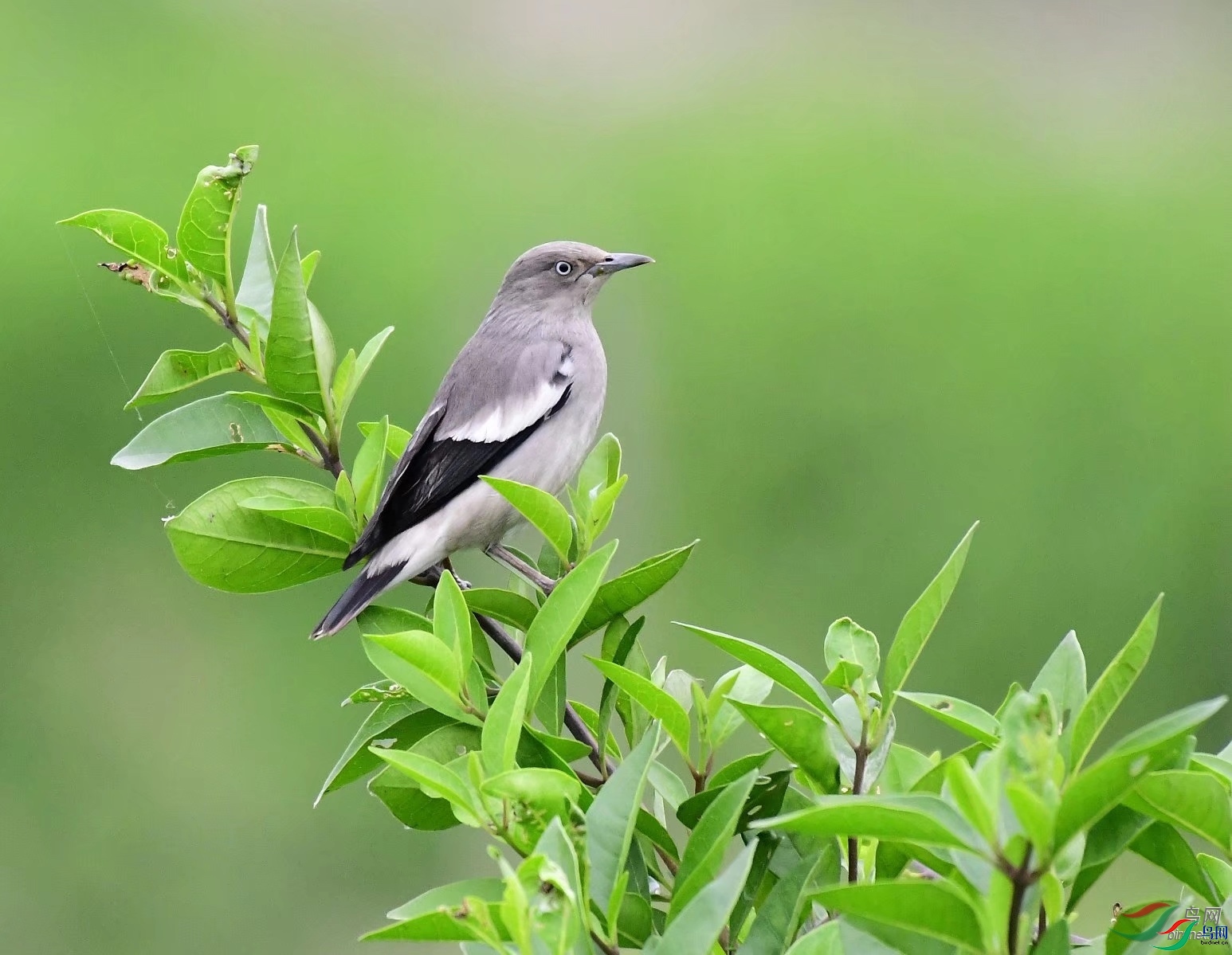 ��������  ��ʦ�����ں���ʡ������.jpg