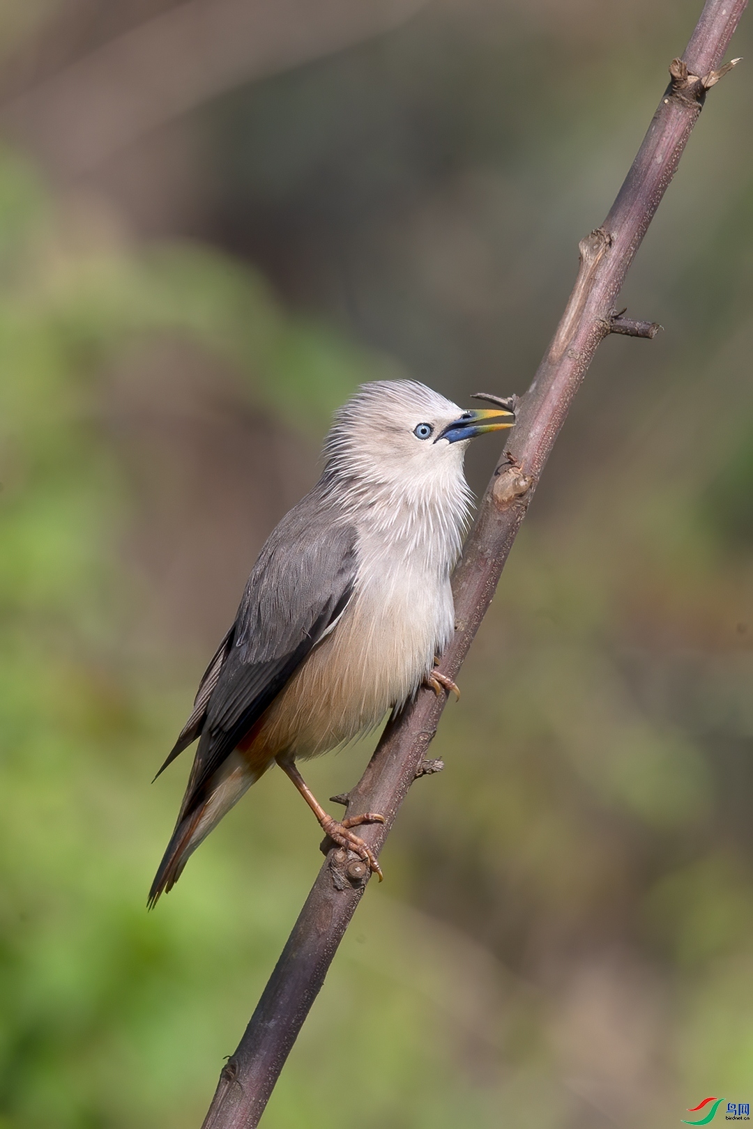 ��������  ��ʦ����������ʡ�º���徰����������ӯ����.jpg