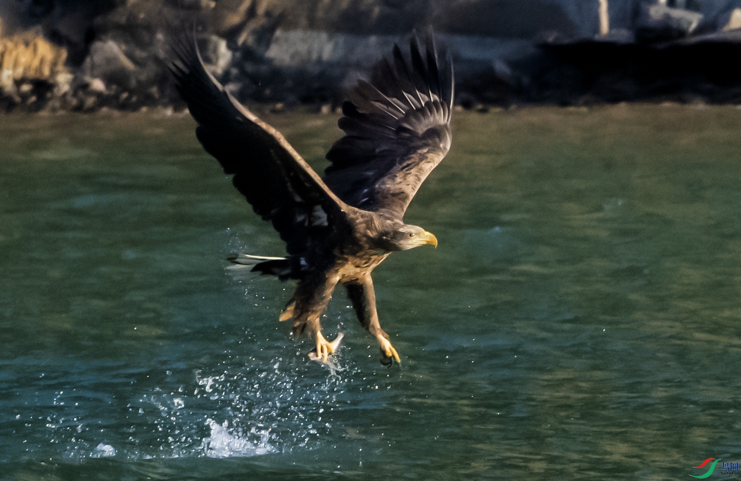 _DSC4846.jpg