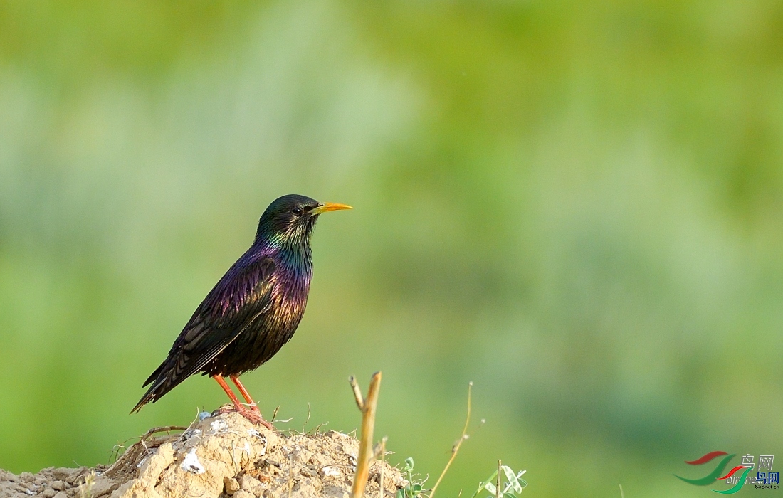 ���789  ��ʦ�������½�**�����������ǵ���������.jpg