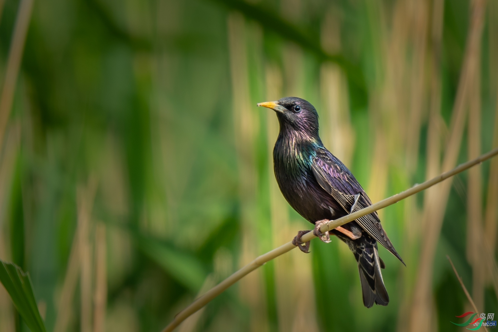 �ķ�ľ��  ��ʦ�������½�**������������̩����������.jpg