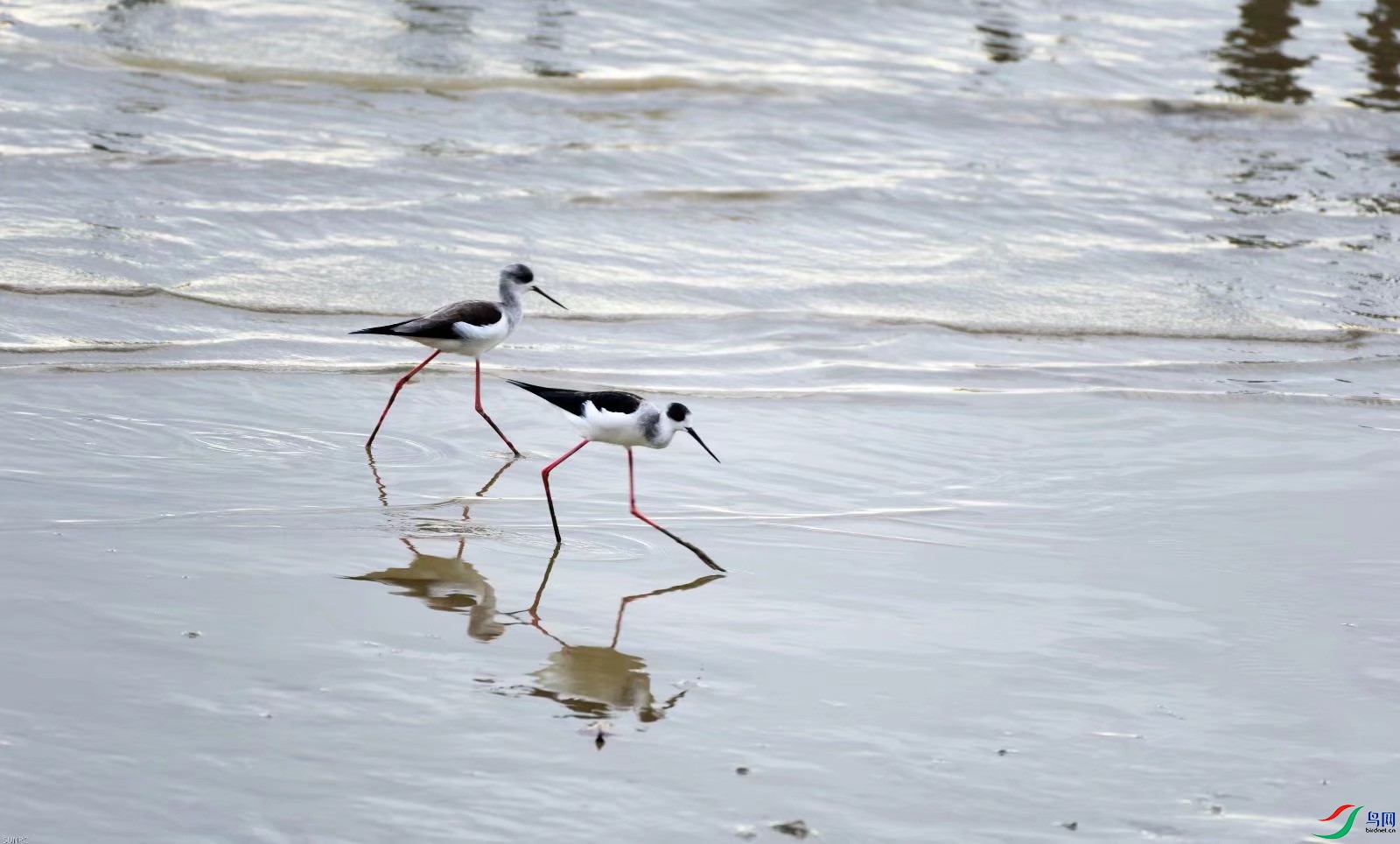 �����壬�ڳ᳤����