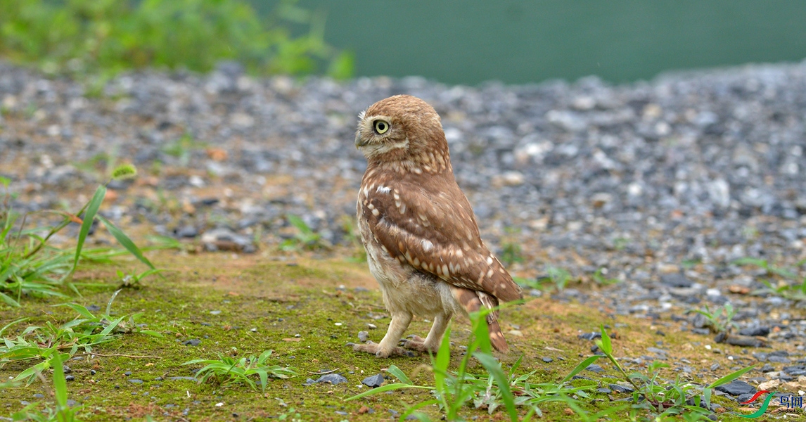 DSC_7095_����.jpg