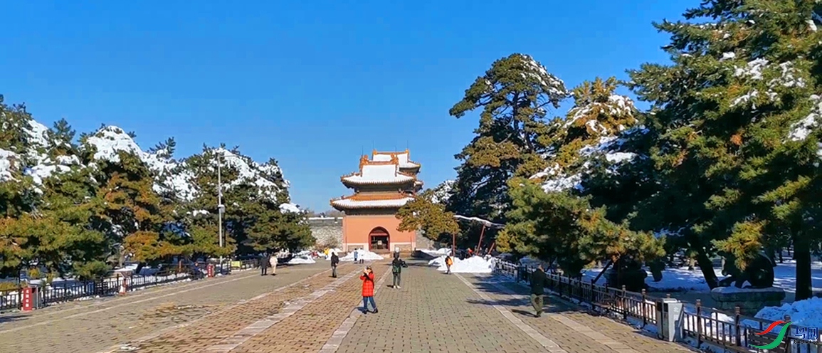 VID_20211112_103952 00_00_01-00_00_10_Moment����-01-01-p-2.jpg