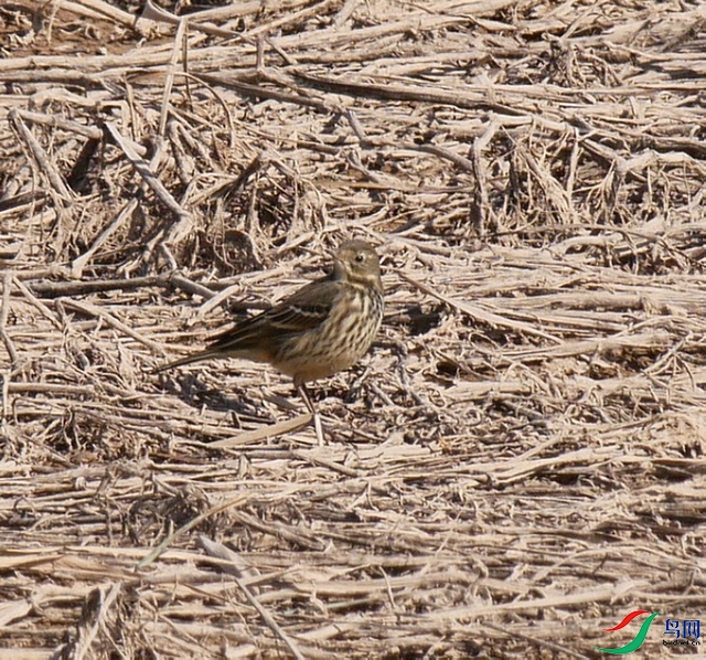 P7600205 - ����.JPG