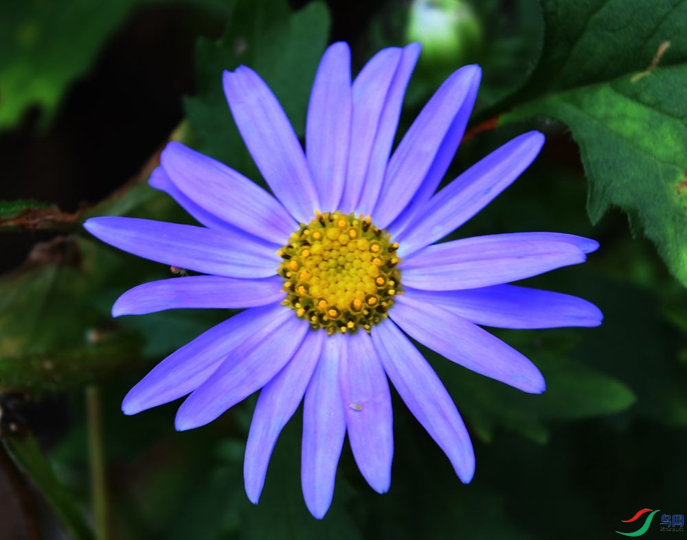 DSC_5669_����.jpg
