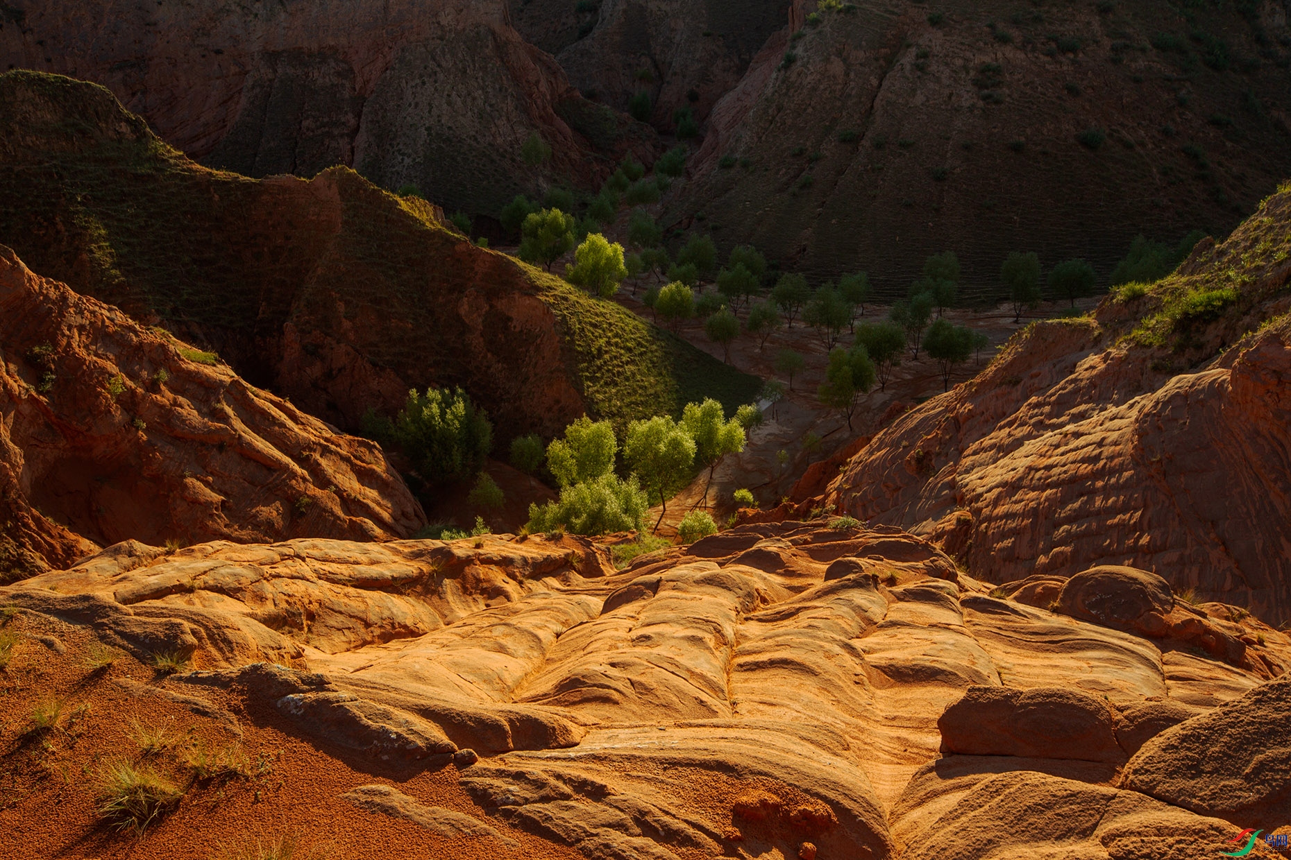 ���˹� (2).jpg