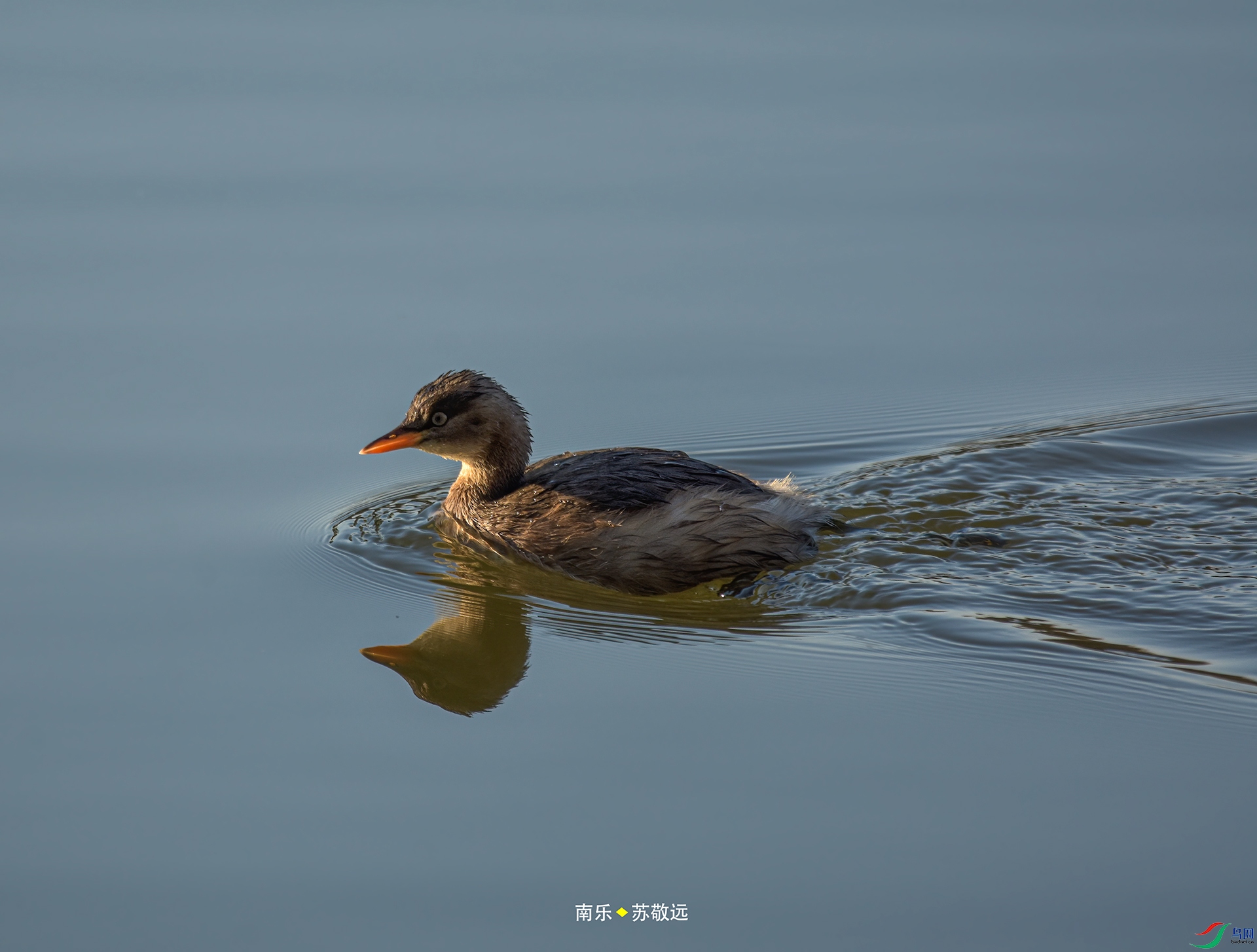_DSC0078С.jpg