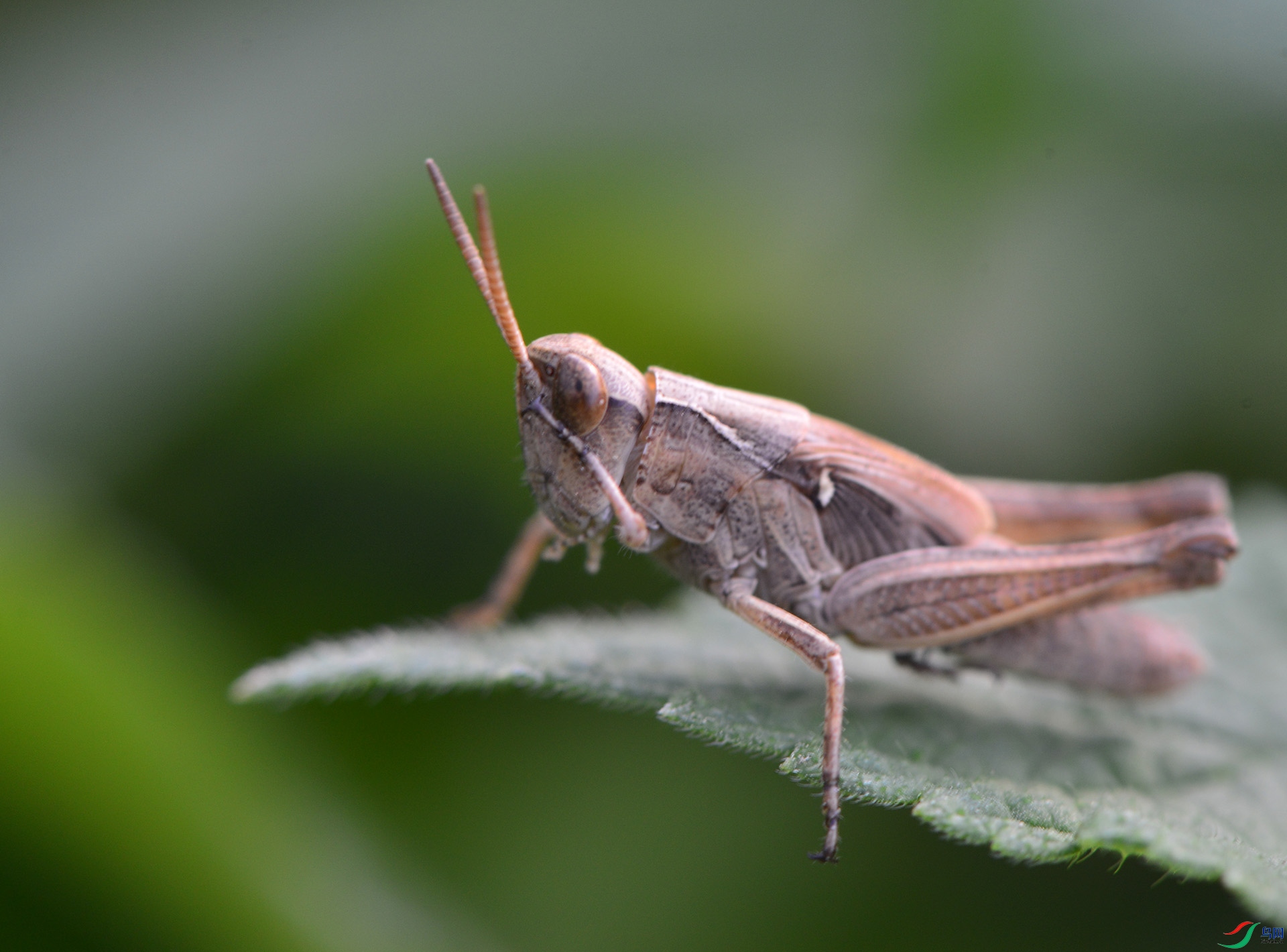 ������Ӱ 2140����.jpg