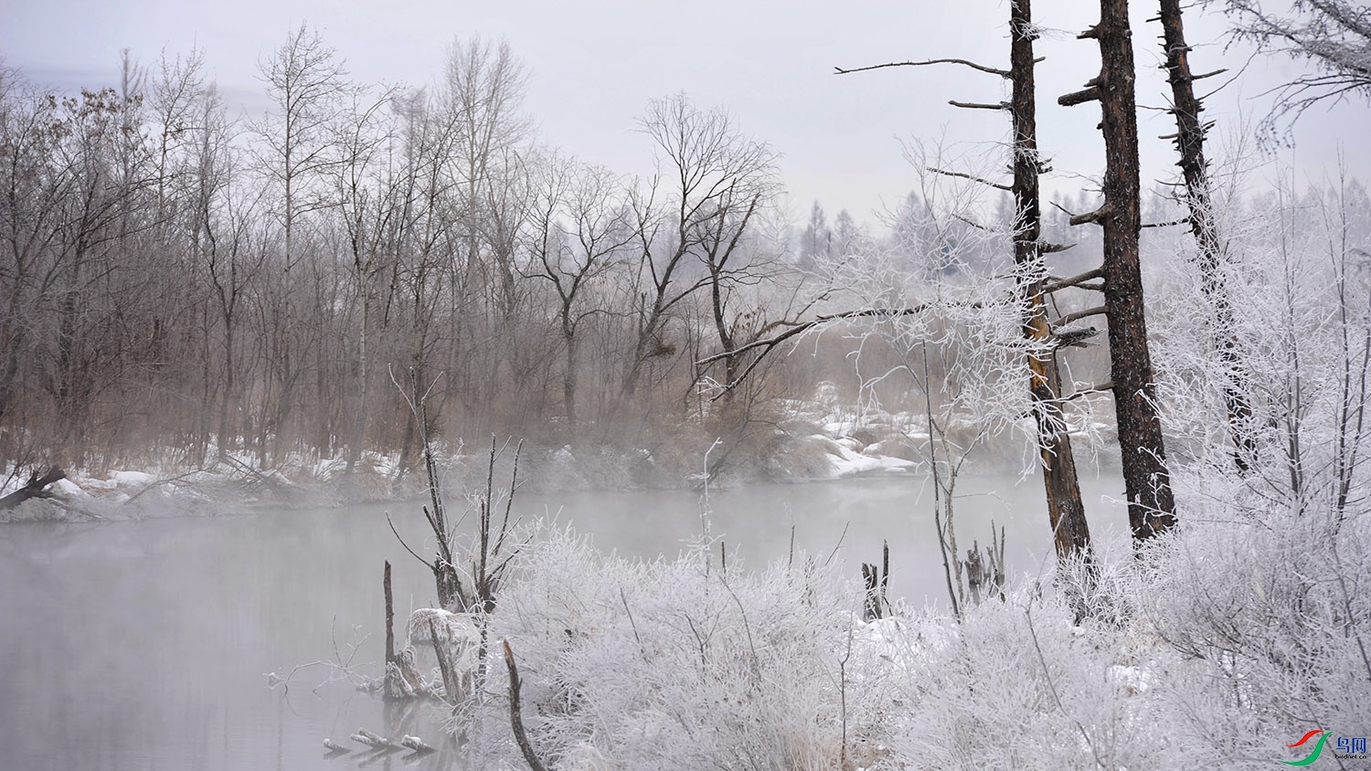 _DSC9965.jpg