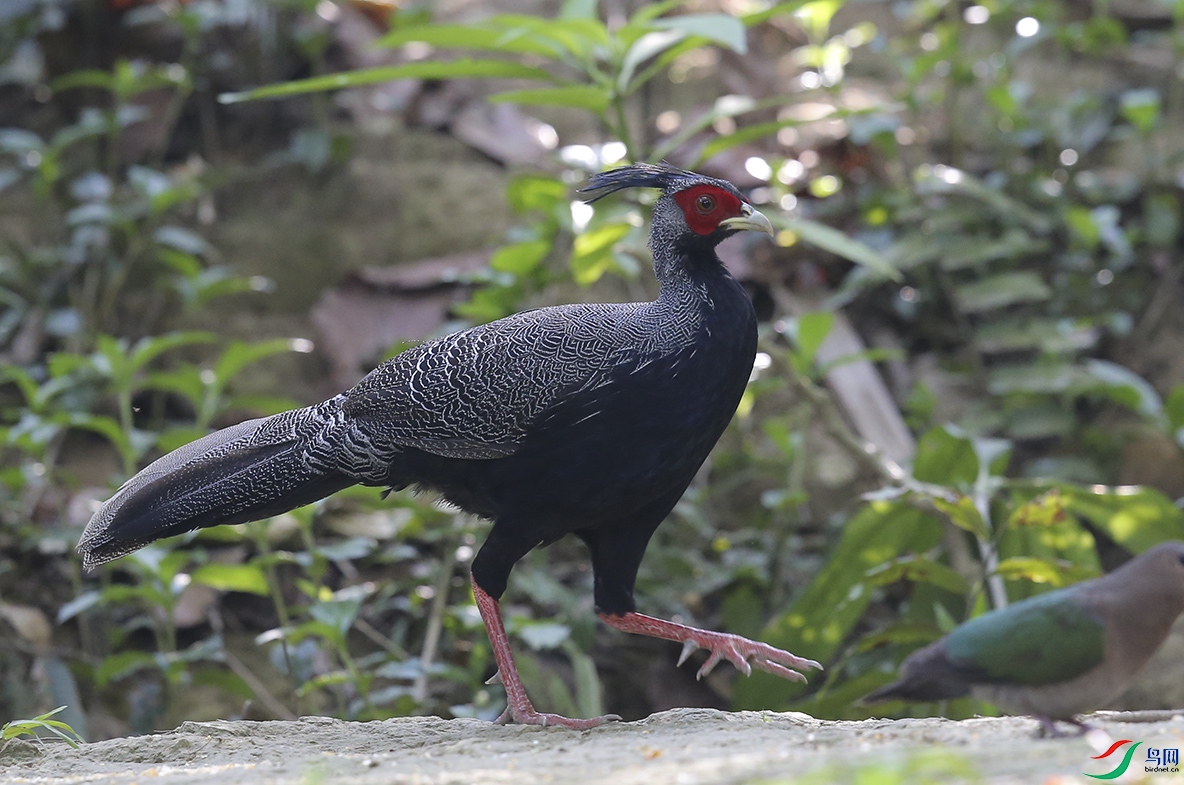 ����� (2)����.jpg