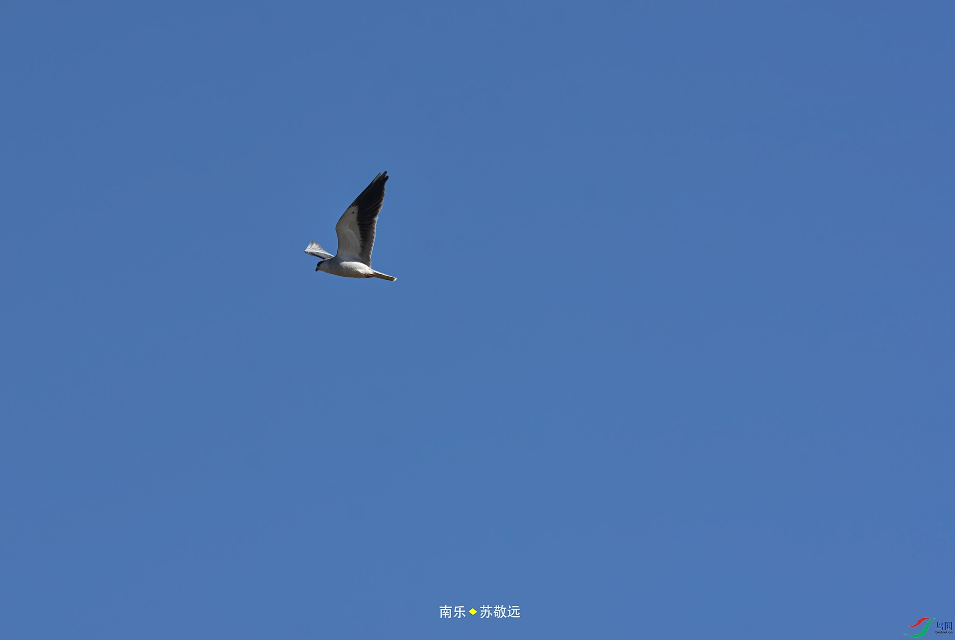 _DSC9871С.jpg