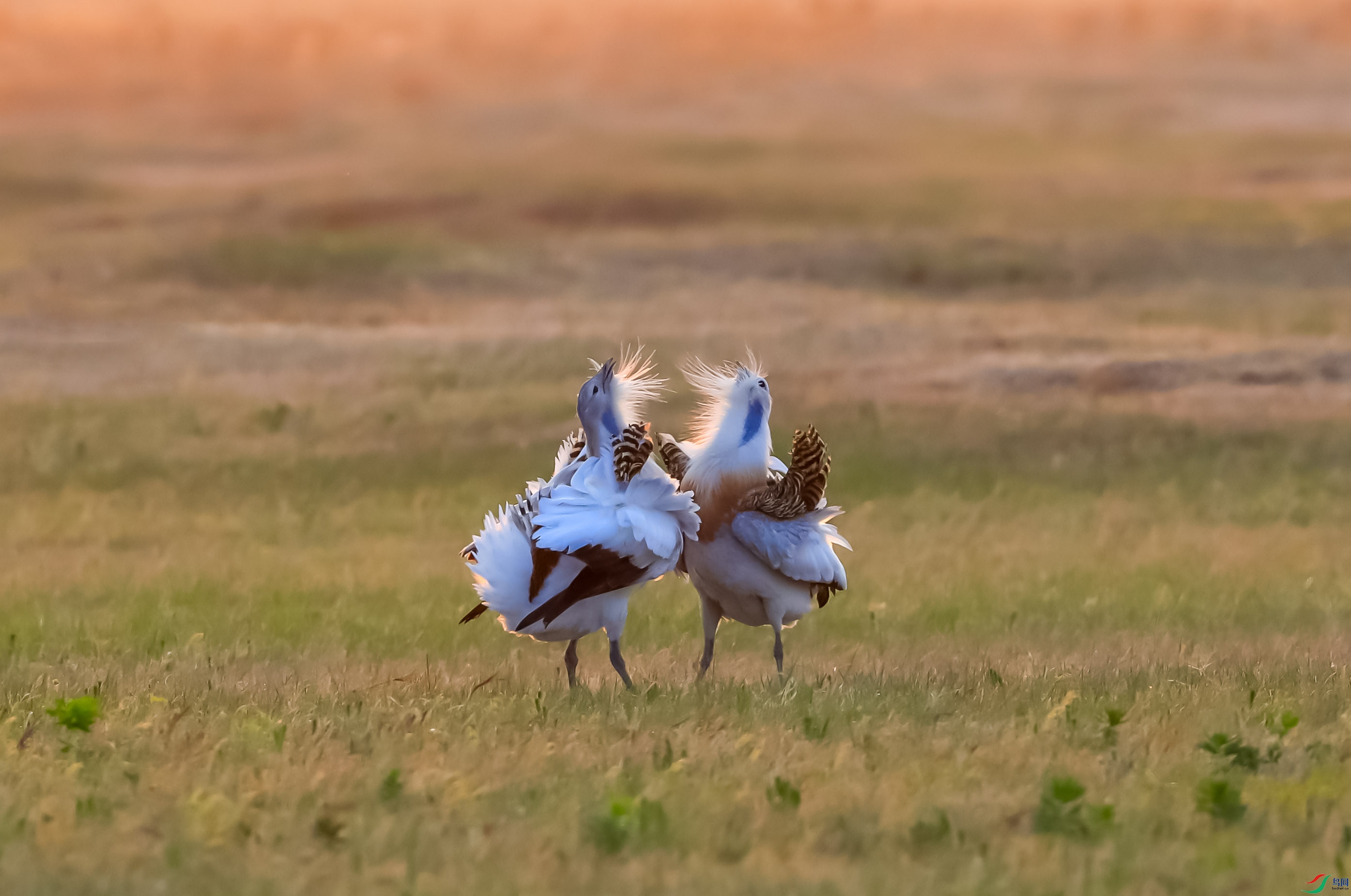 �����ٽ������