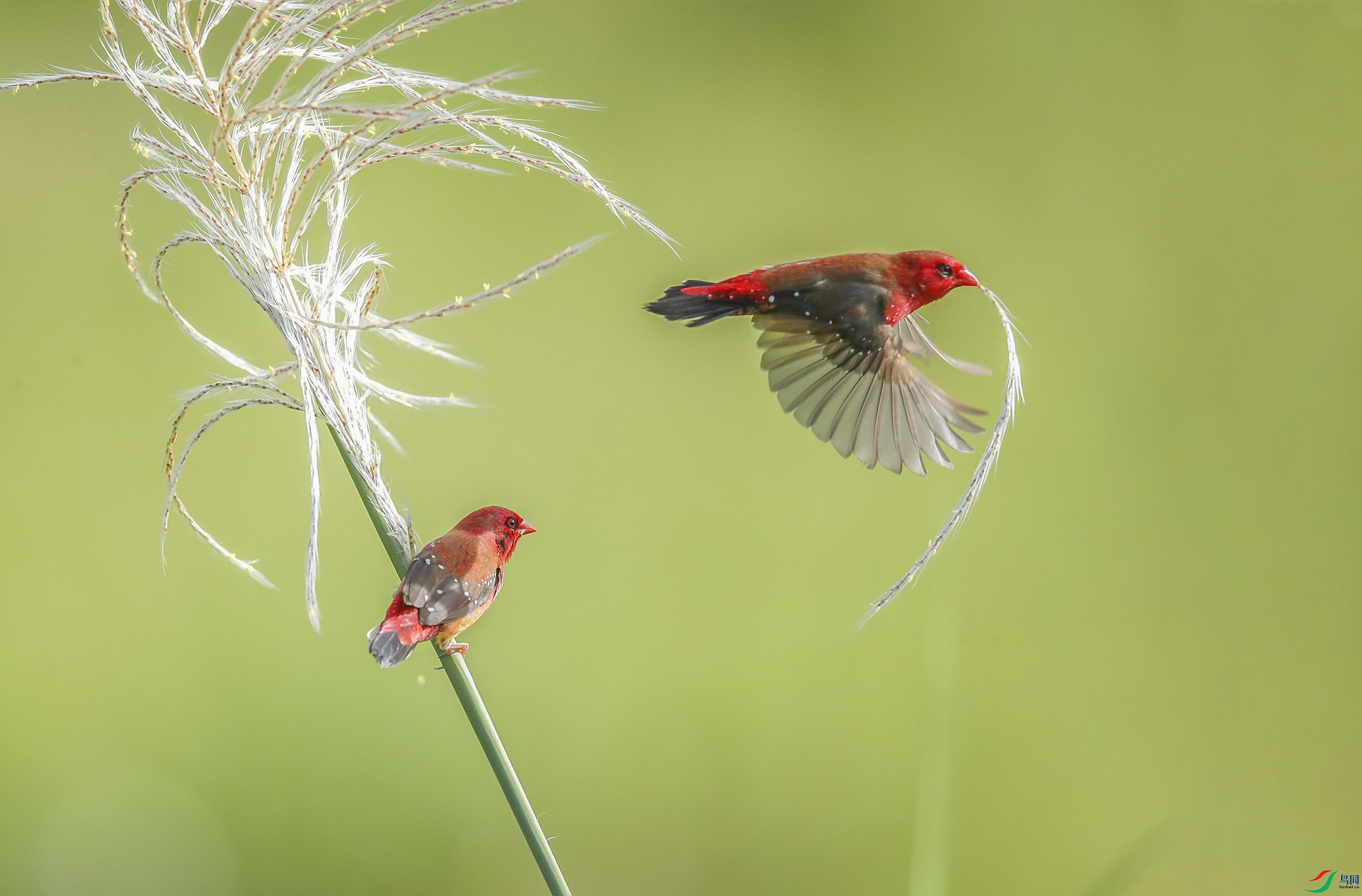 1a0d93c9e6f89196c63fb3f36fb1002- (2).jpg