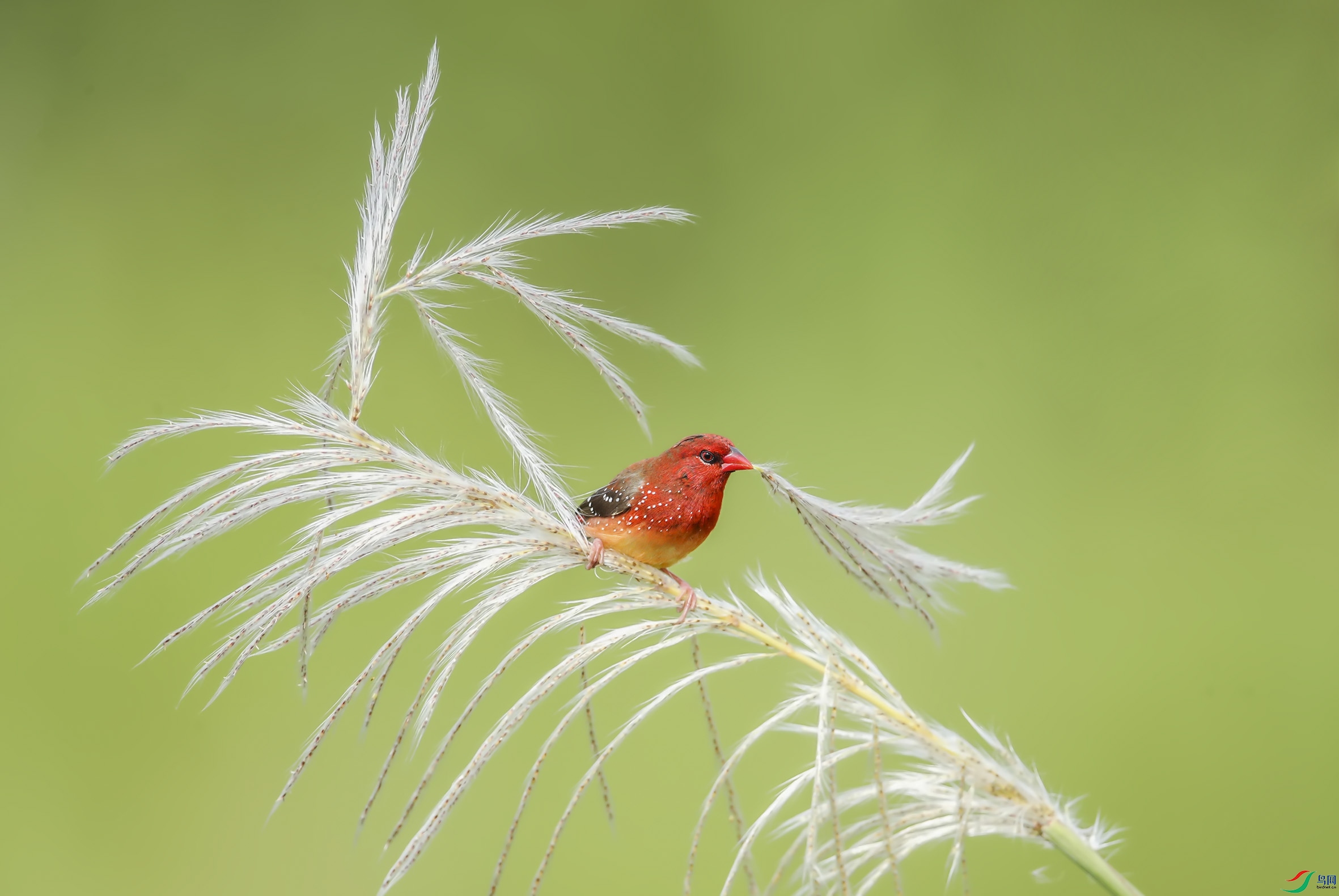 1a0d93c9e6f89196c63fb3f36fb1002- (4).jpg