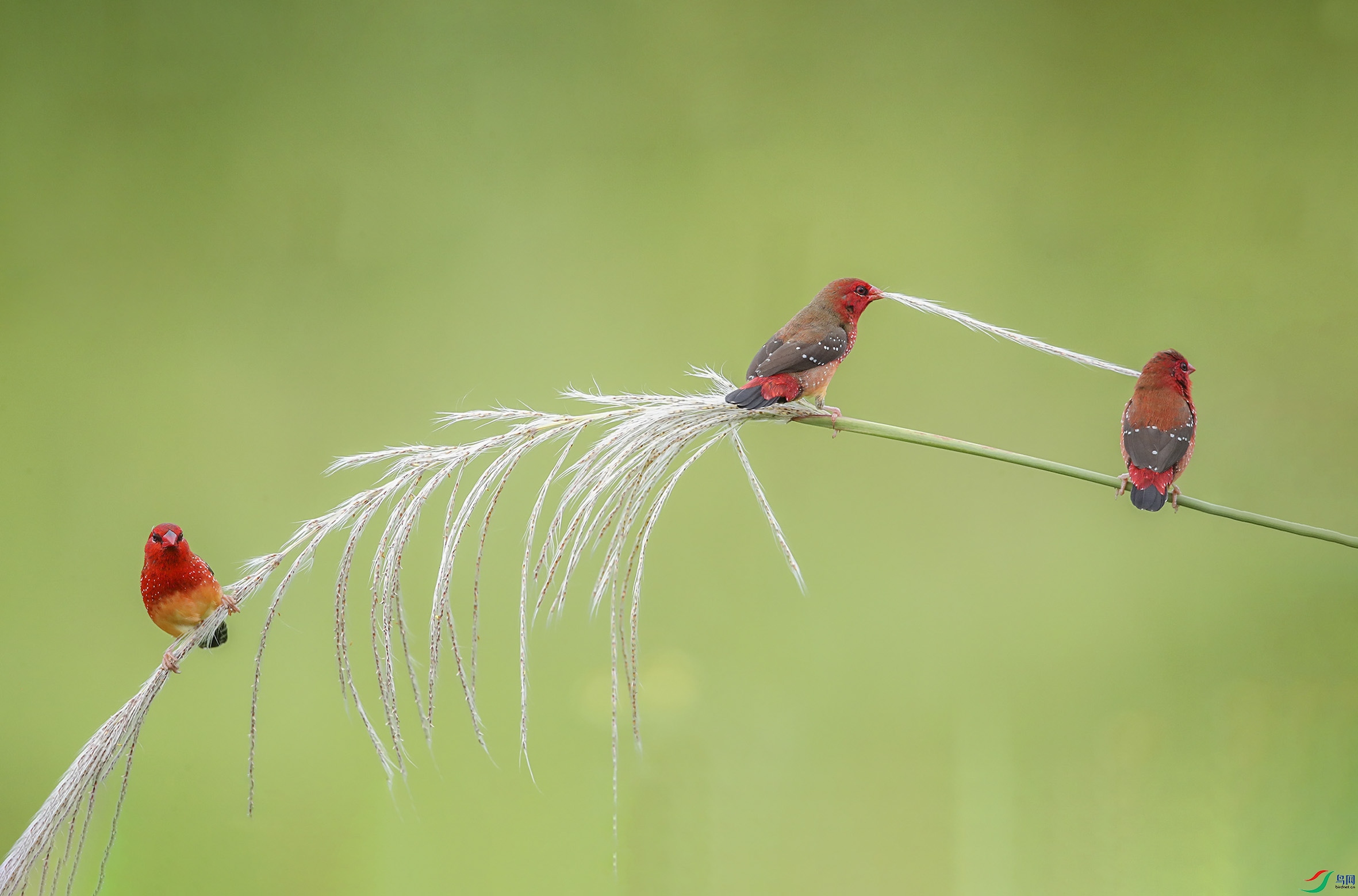 1a0d93c9e6f89196c63fb3f36fb1002- (6).jpg