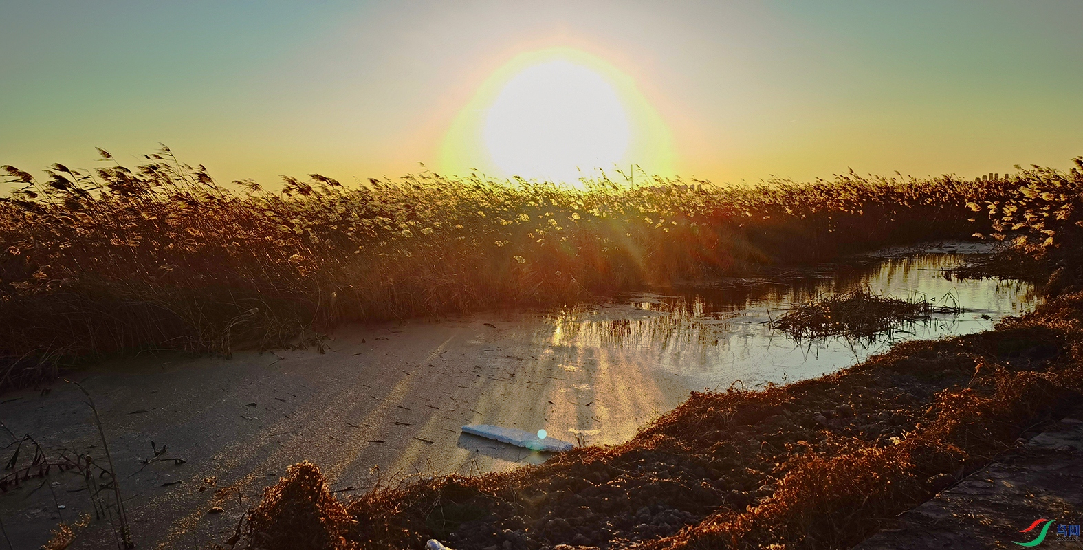 ΢��ͼƬ 2043271.jpg