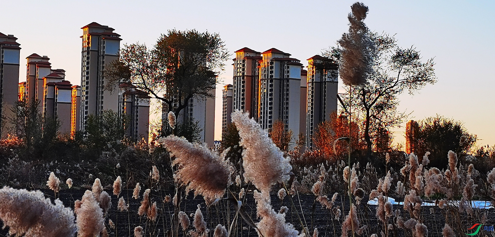 ΢��ͼƬ_ 122043225.jpg