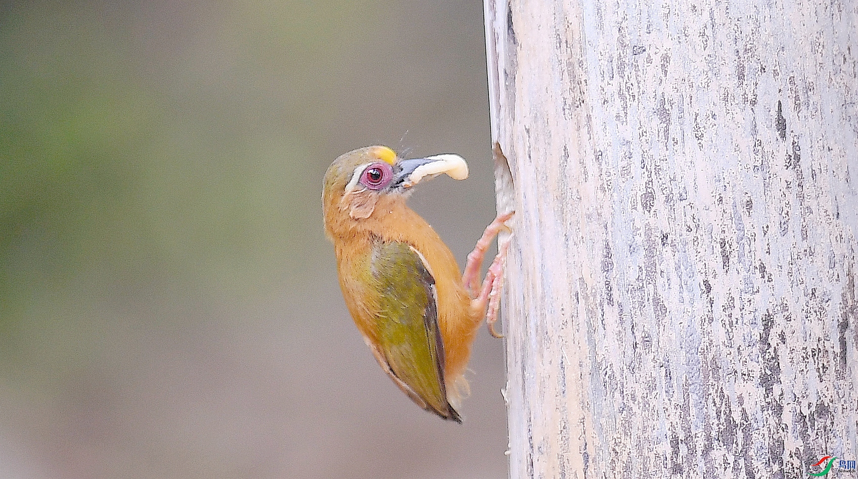 DSC_5630_����.jpg