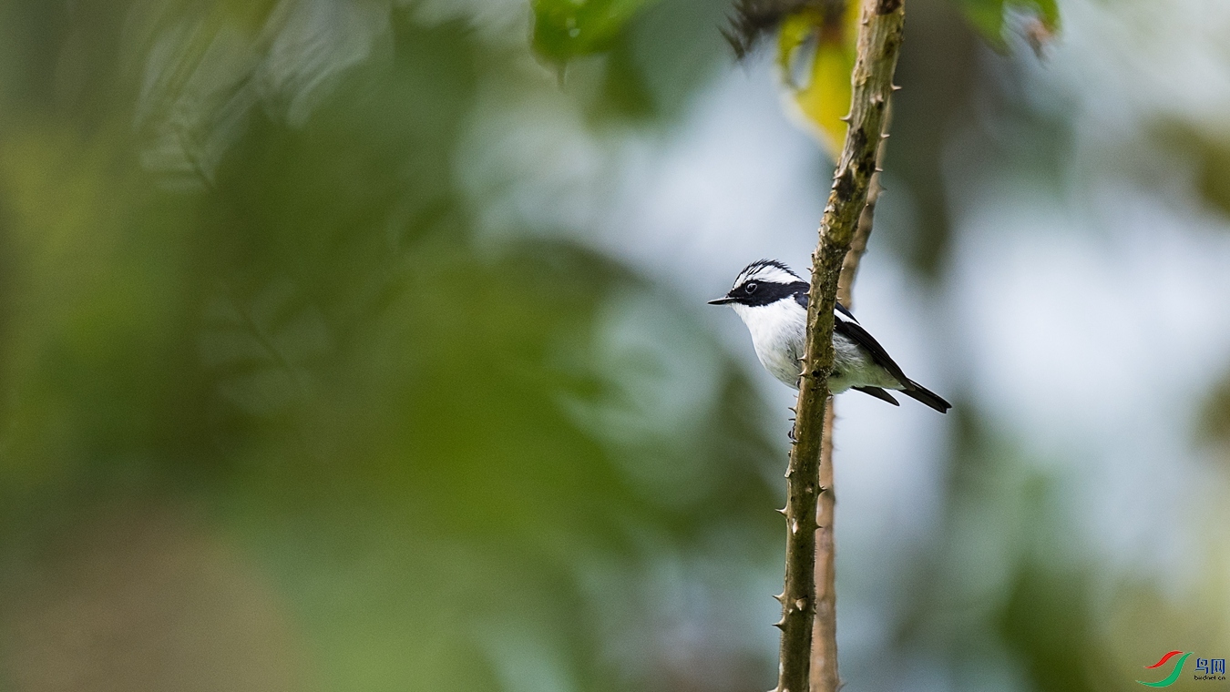 DSC_0735 - ����.jpg