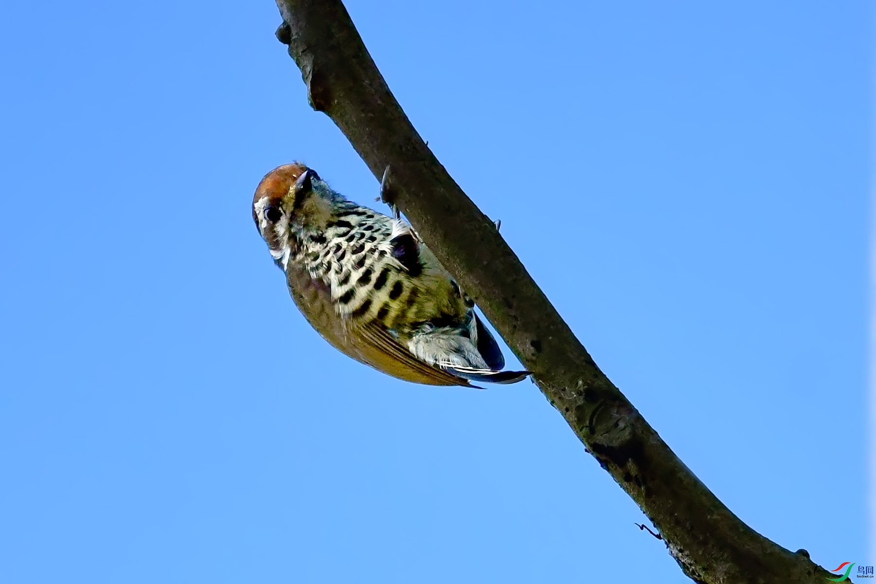 DSC_7561.jpg